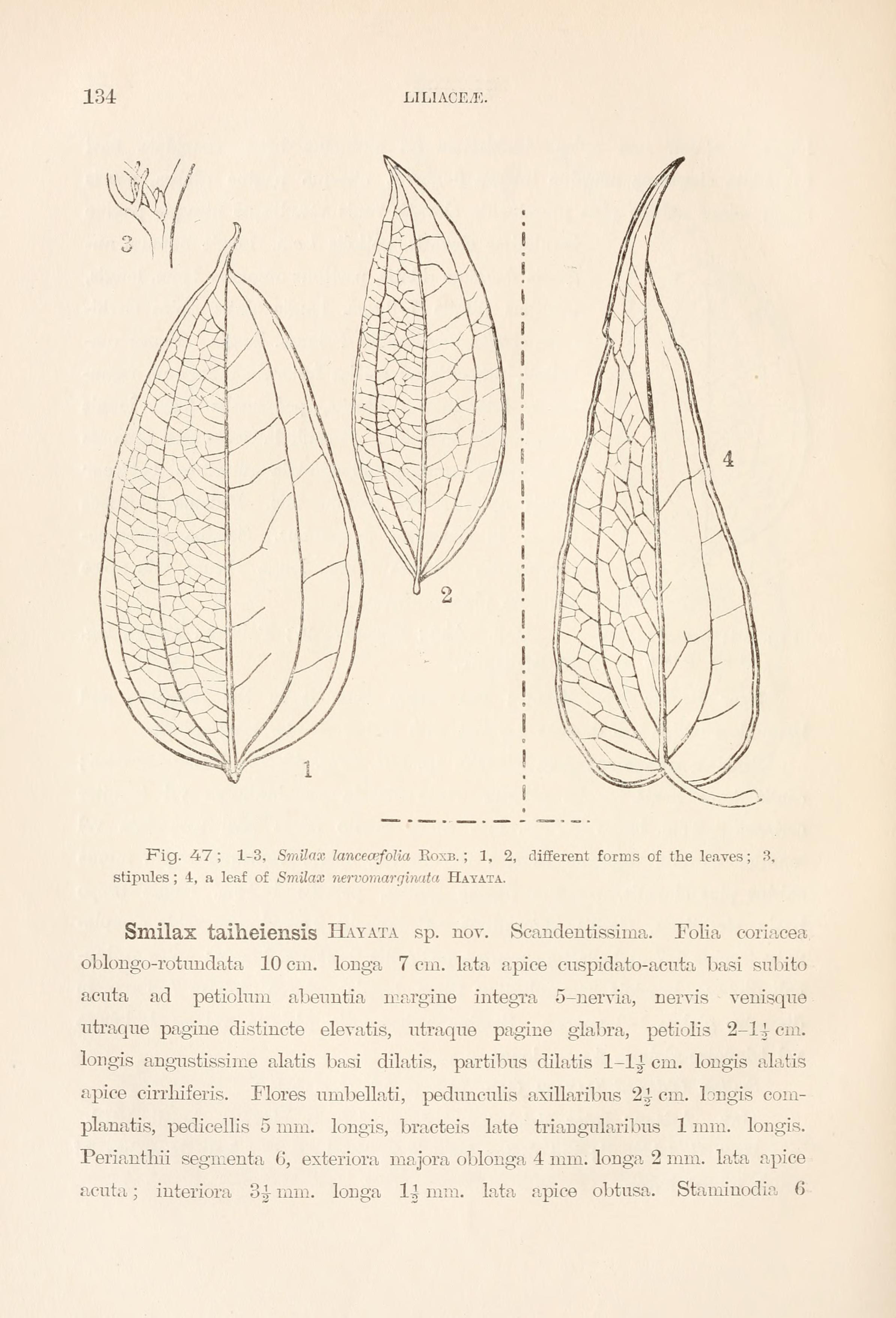 no full size  illustration available (3a)