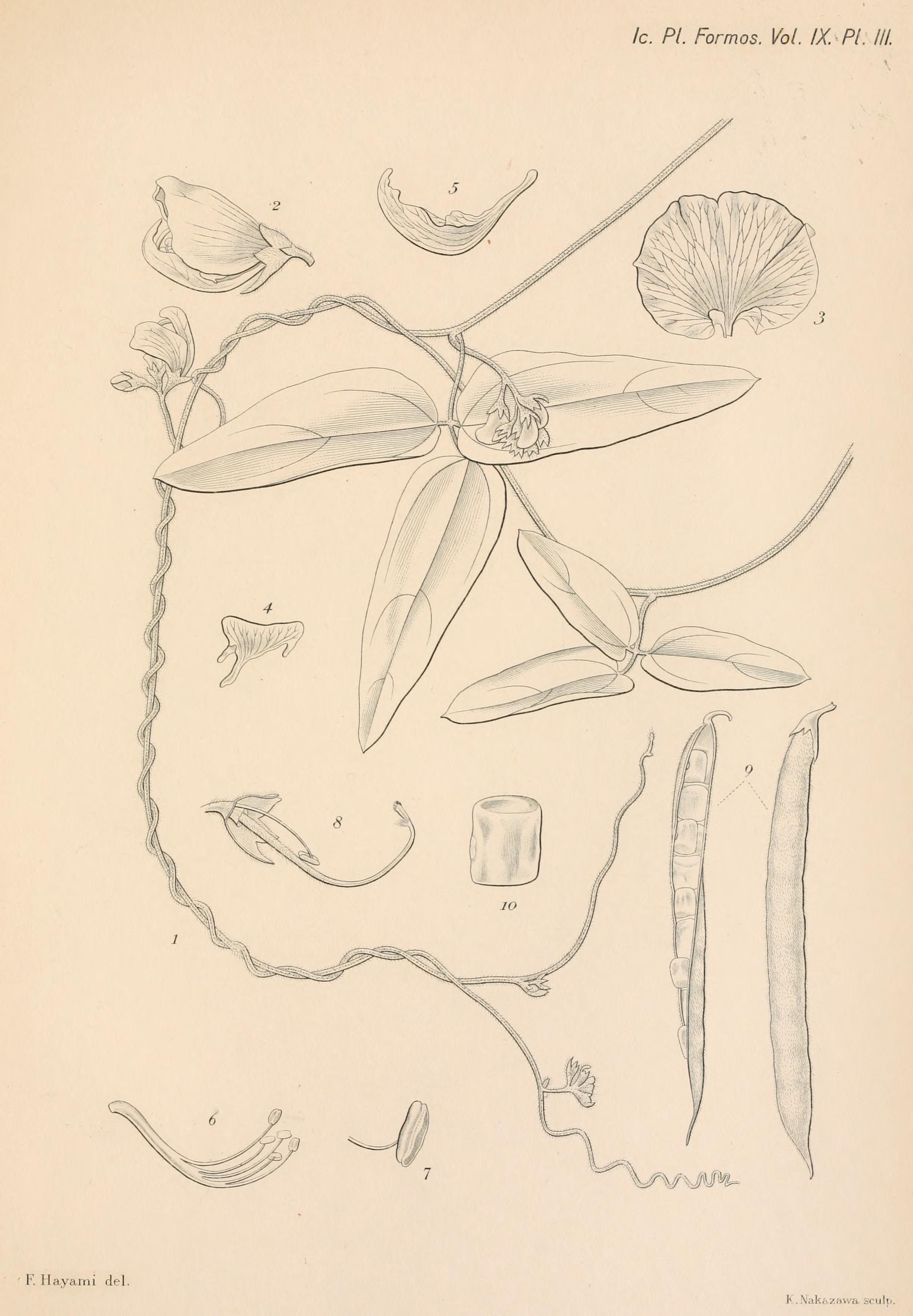 no full size  illustration available (3a)