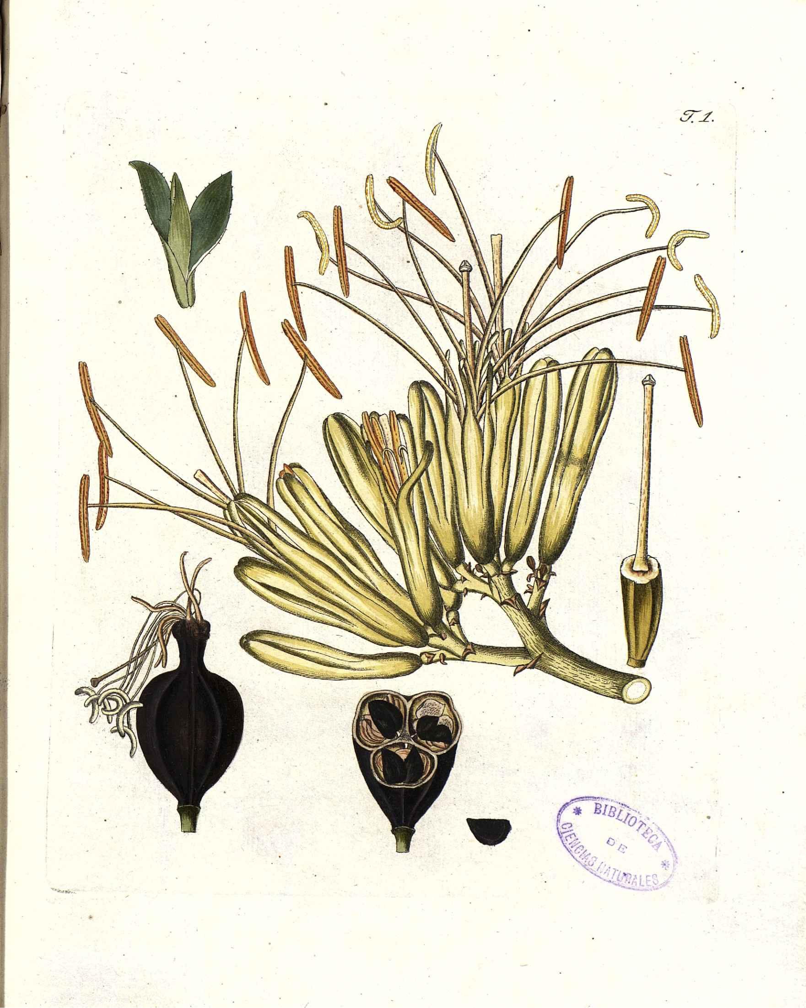 no full size  illustration available (3a)