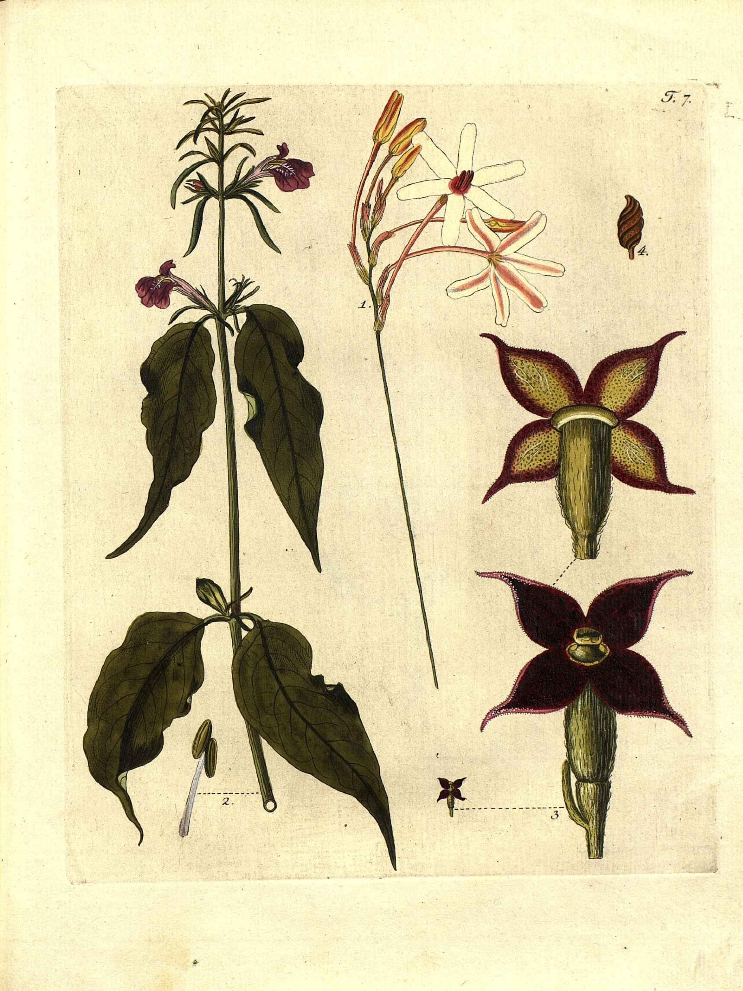 no full size  illustration available (3a)