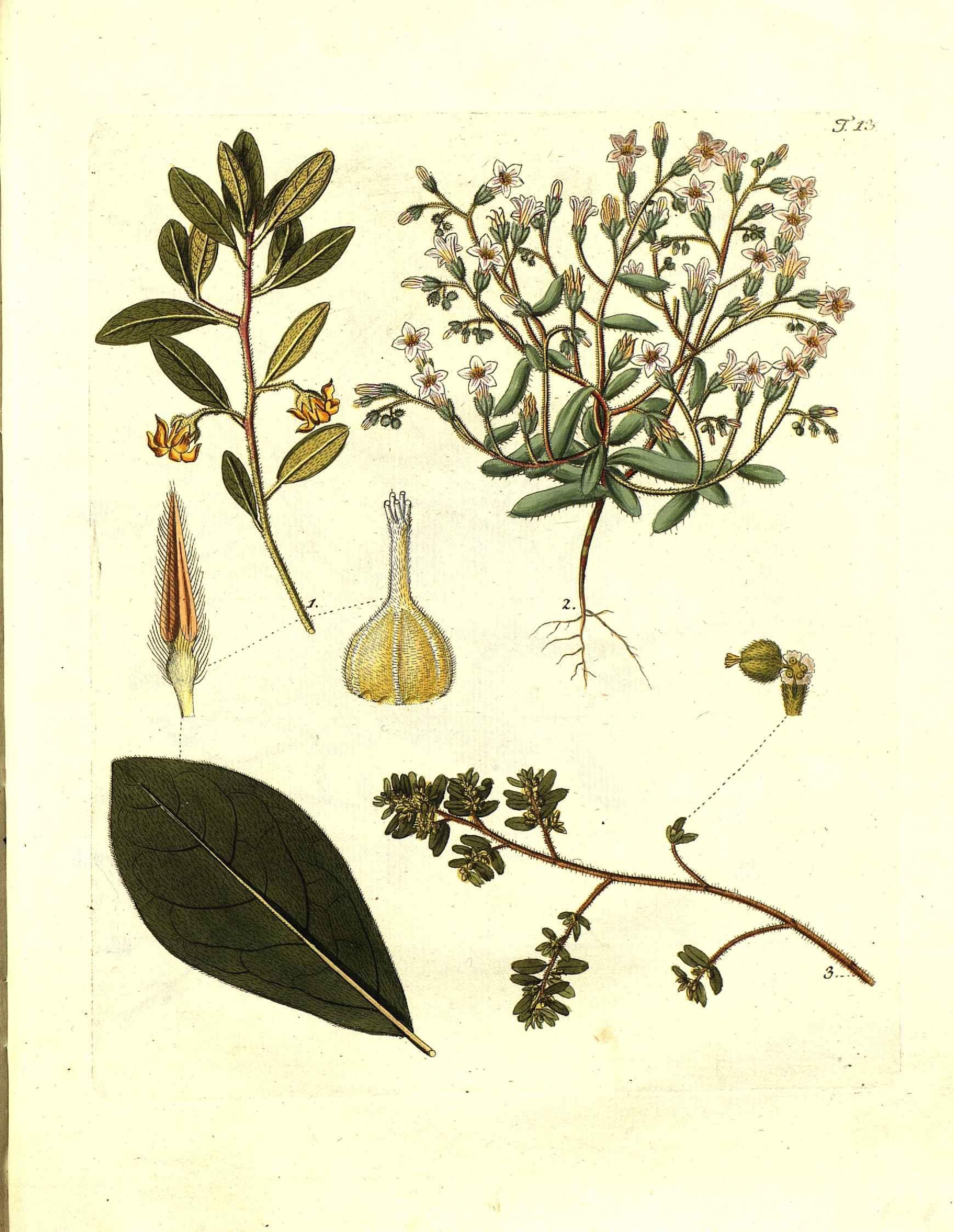 no full size  illustration available (3a)