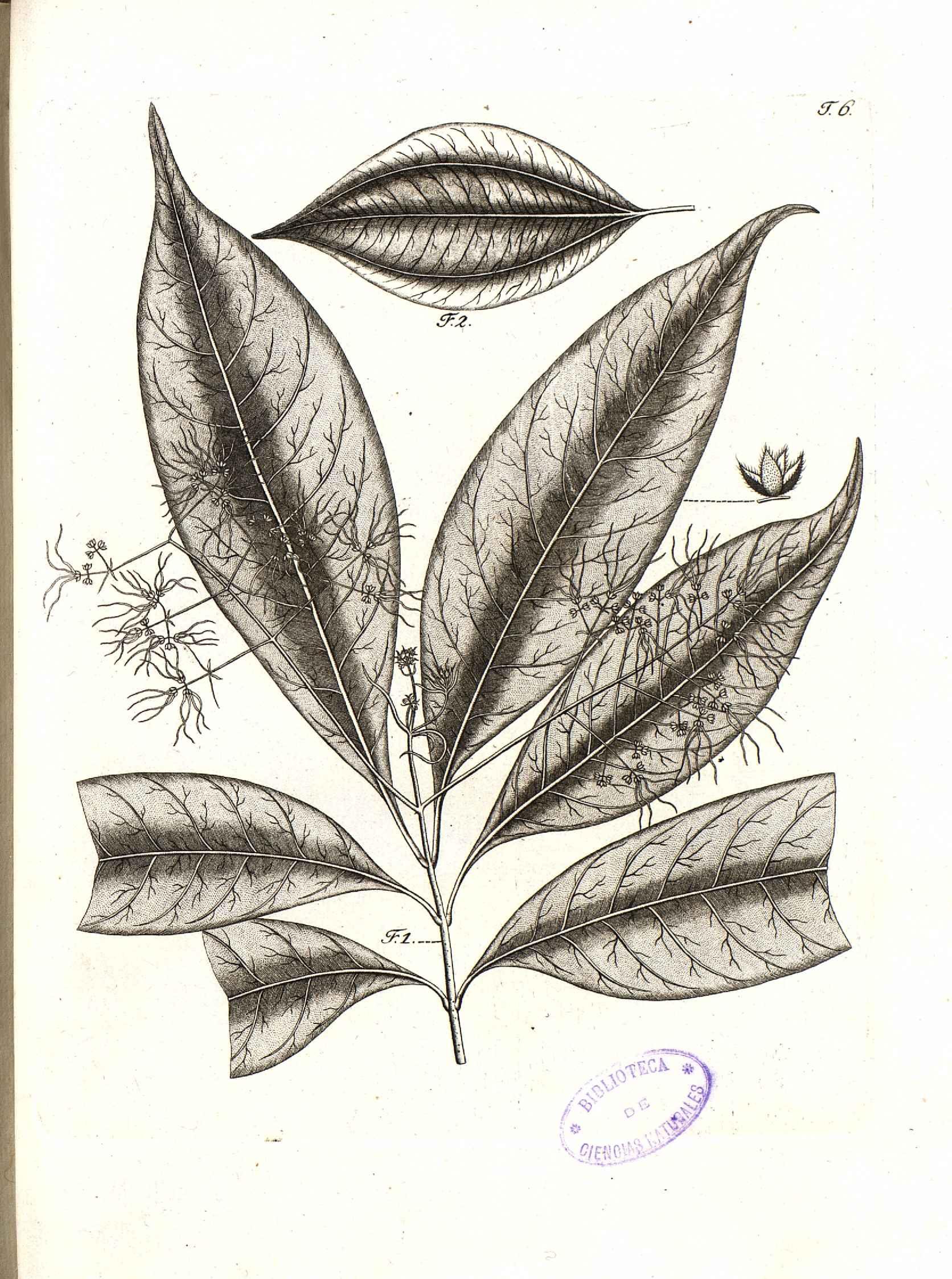 no full size  illustration available (3a)