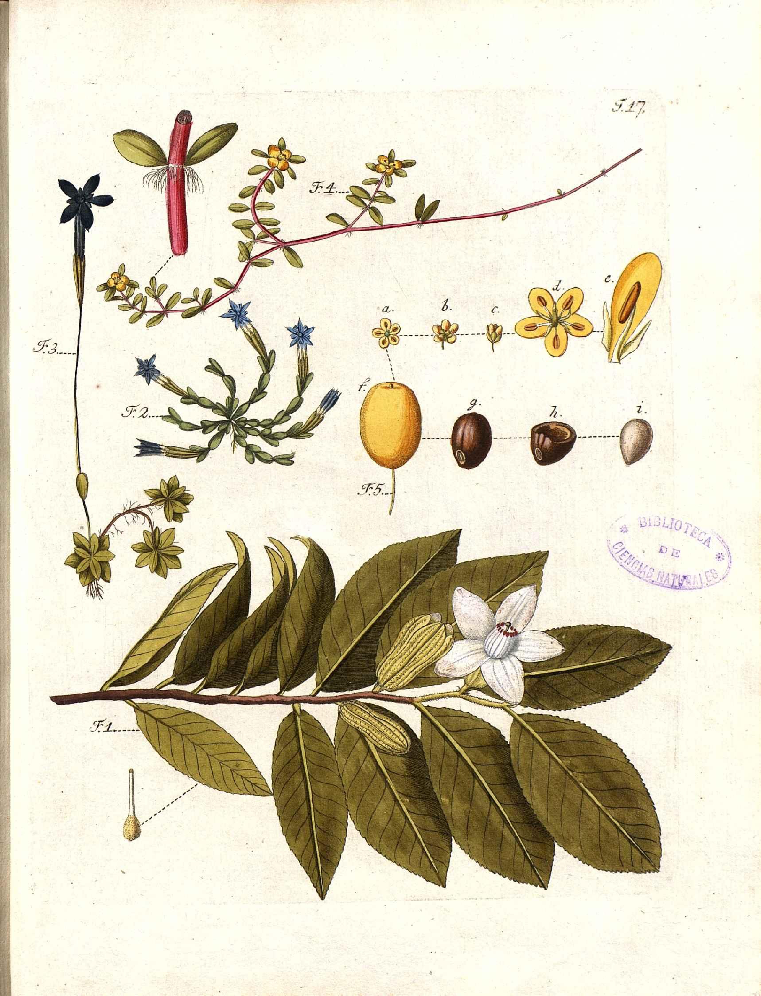 no full size  illustration available (3a)