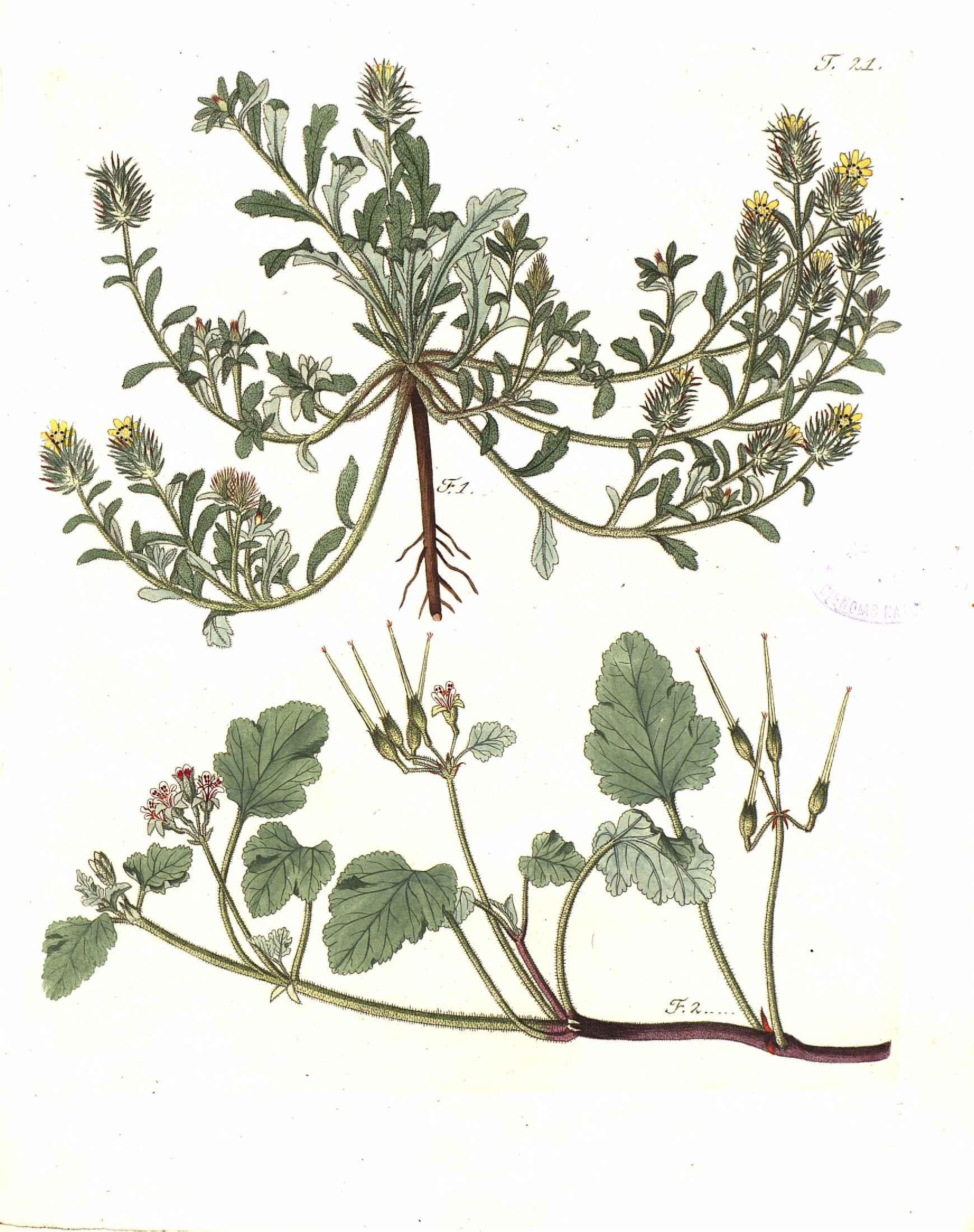 no full size  illustration available (3a)