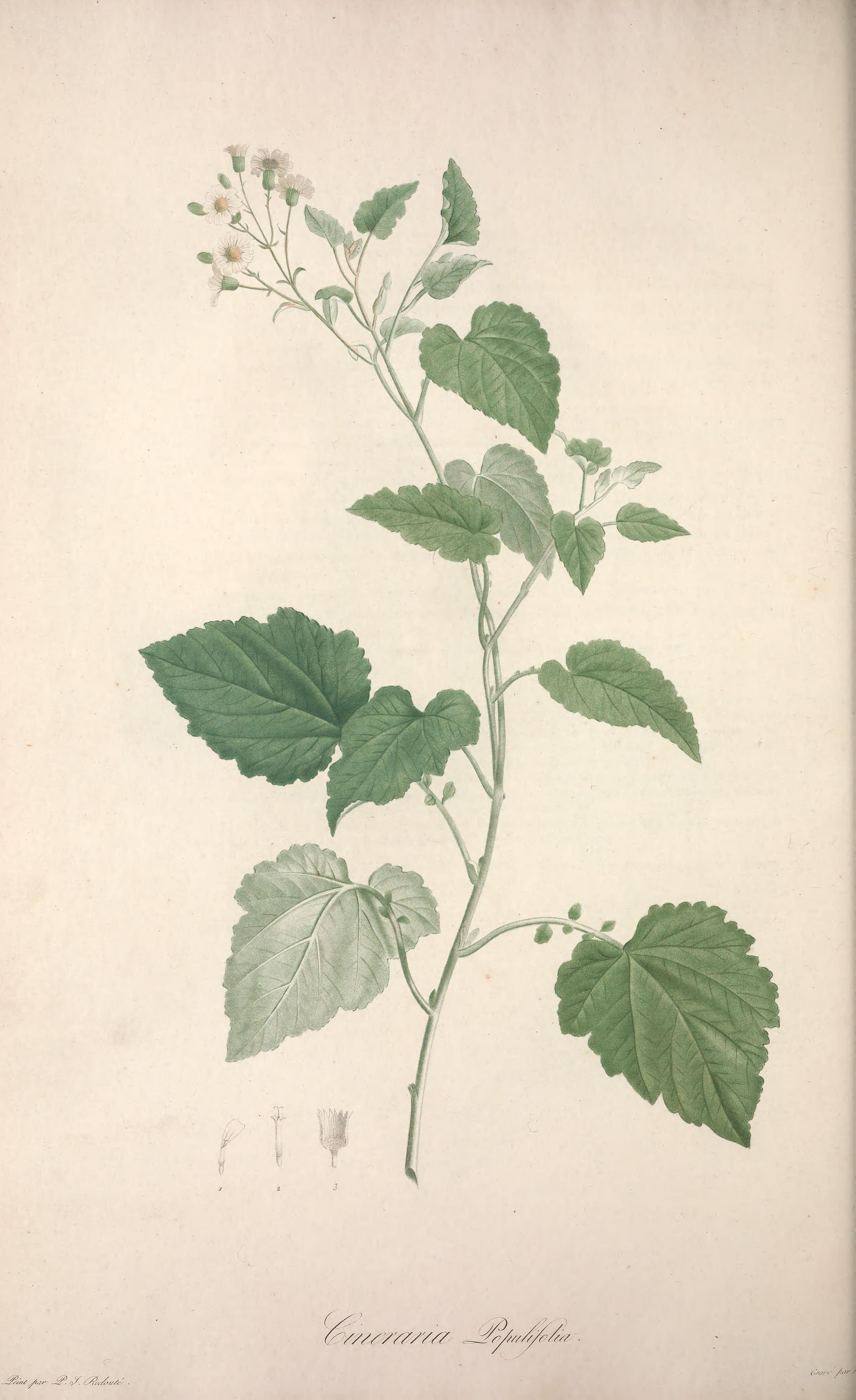 no full size  illustration available (3a)