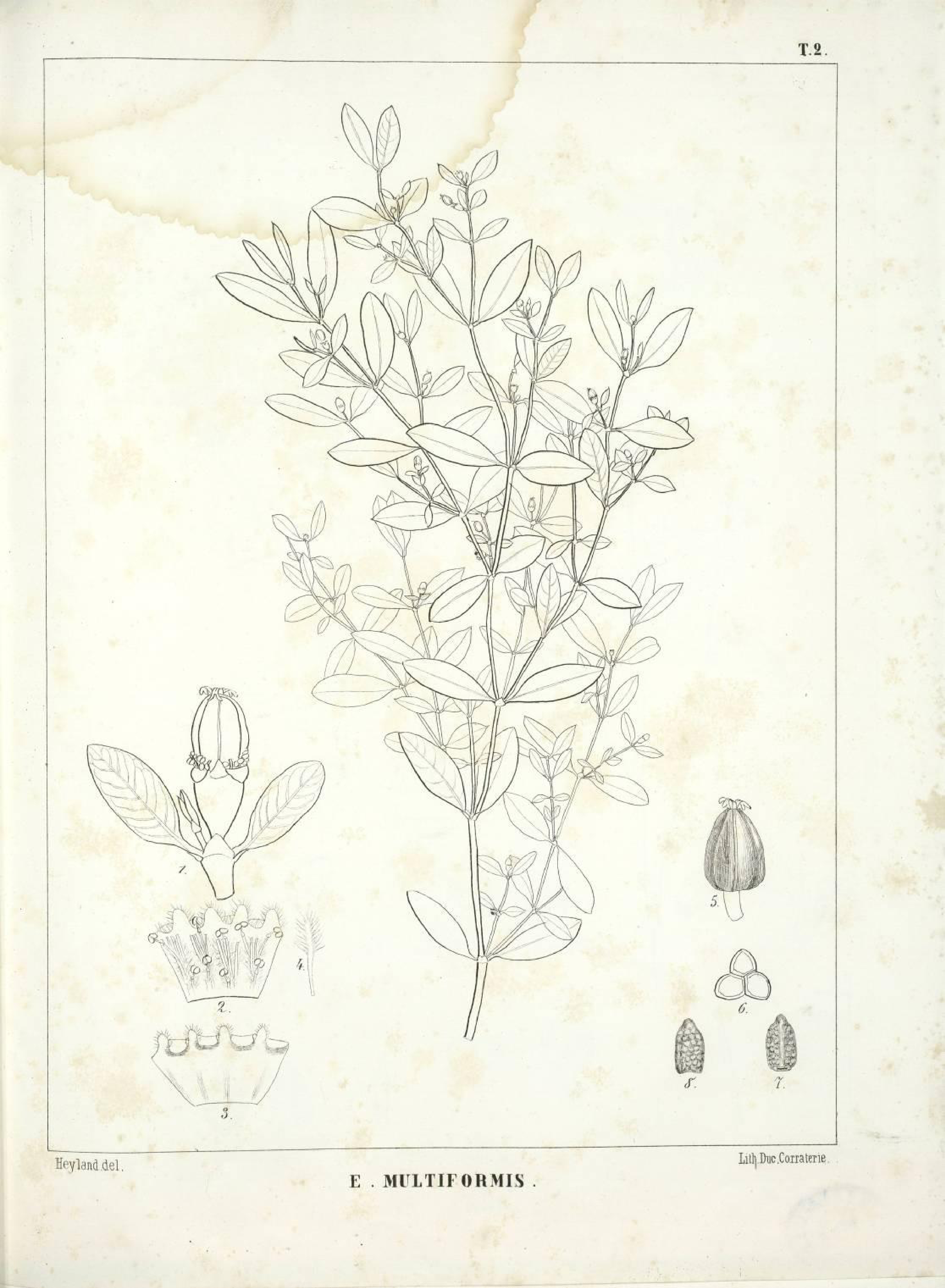 no full size  illustration available (3a)