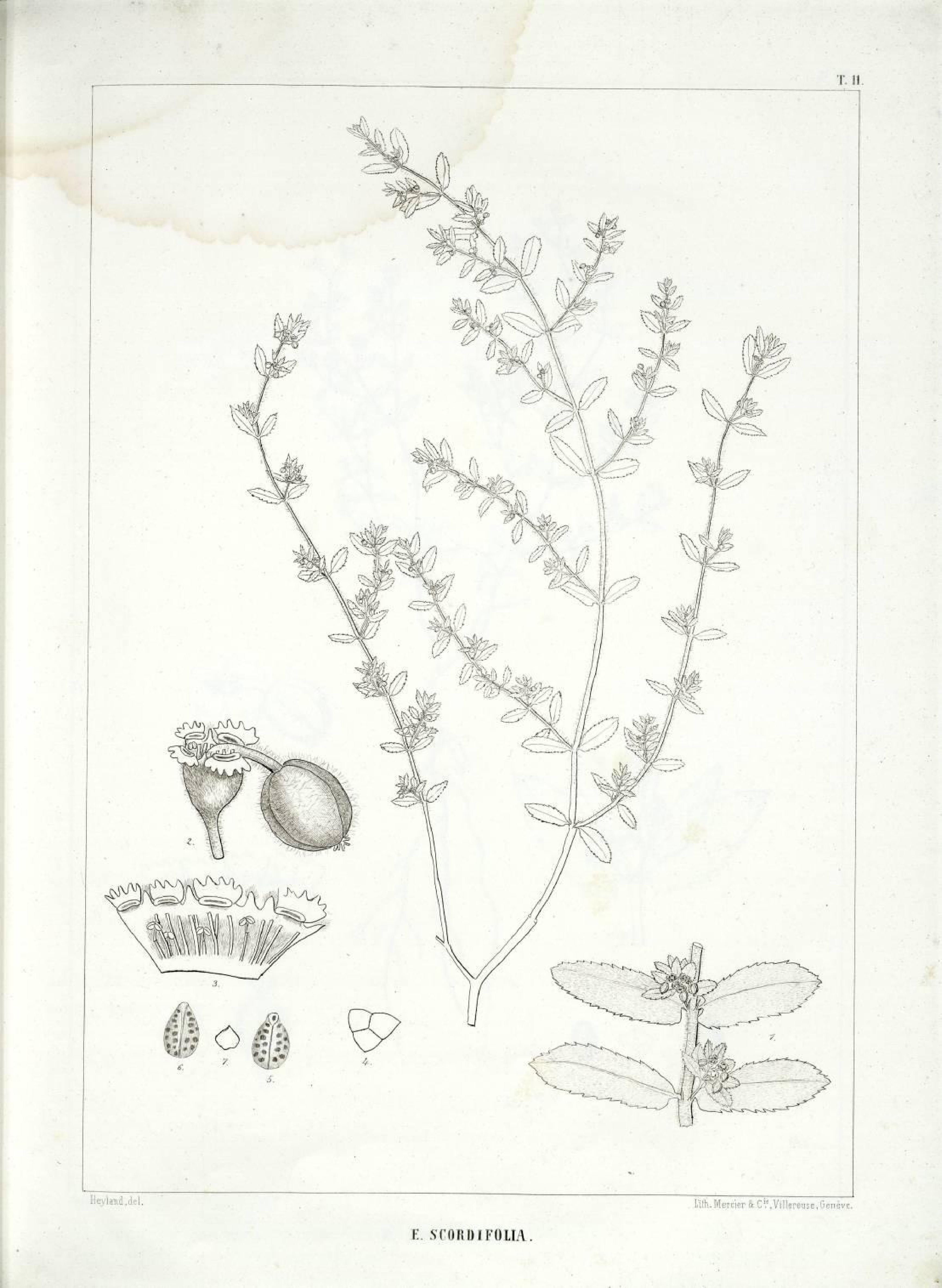 no full size  illustration available (3a)