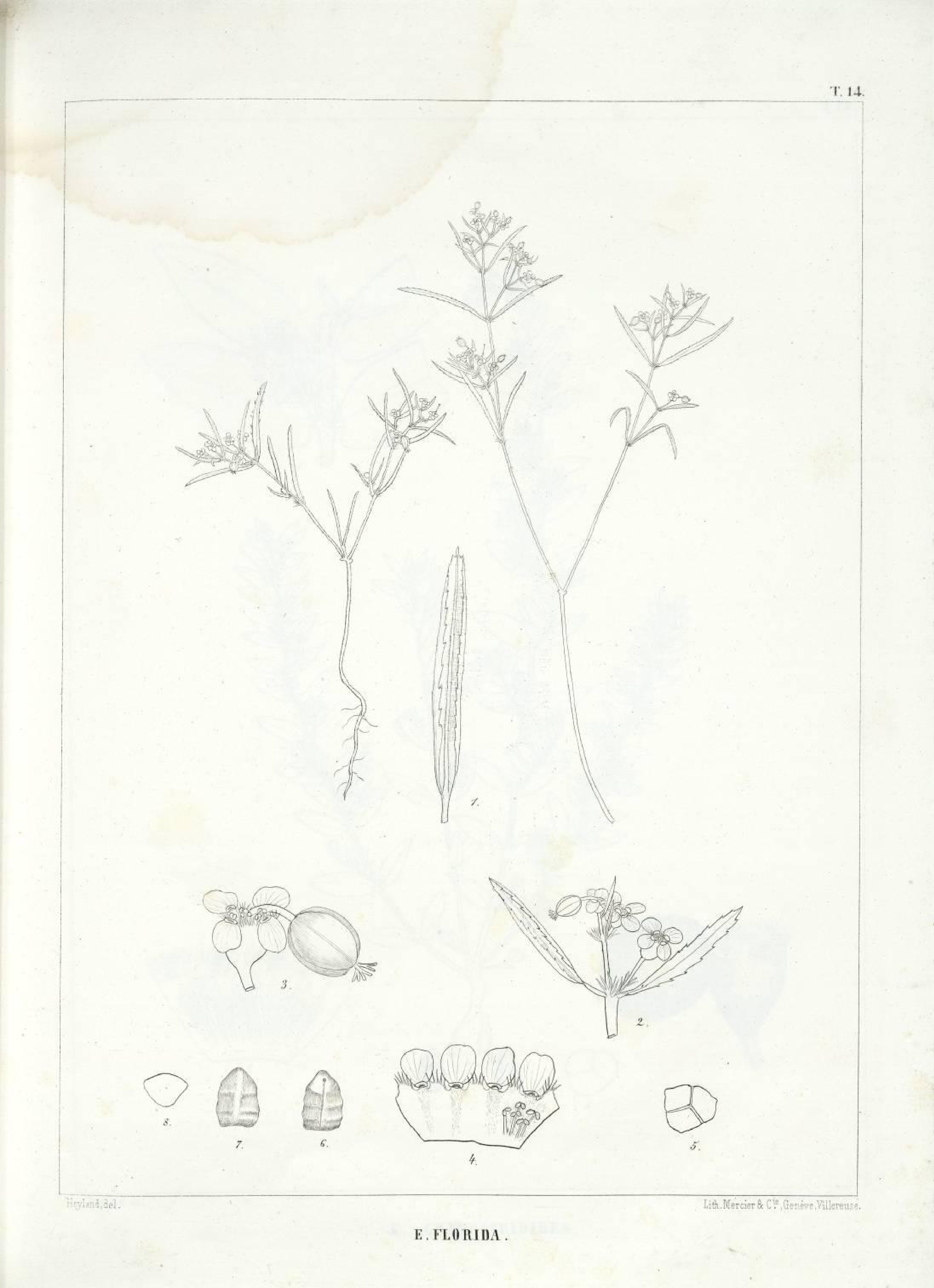 no full size  illustration available (3a)