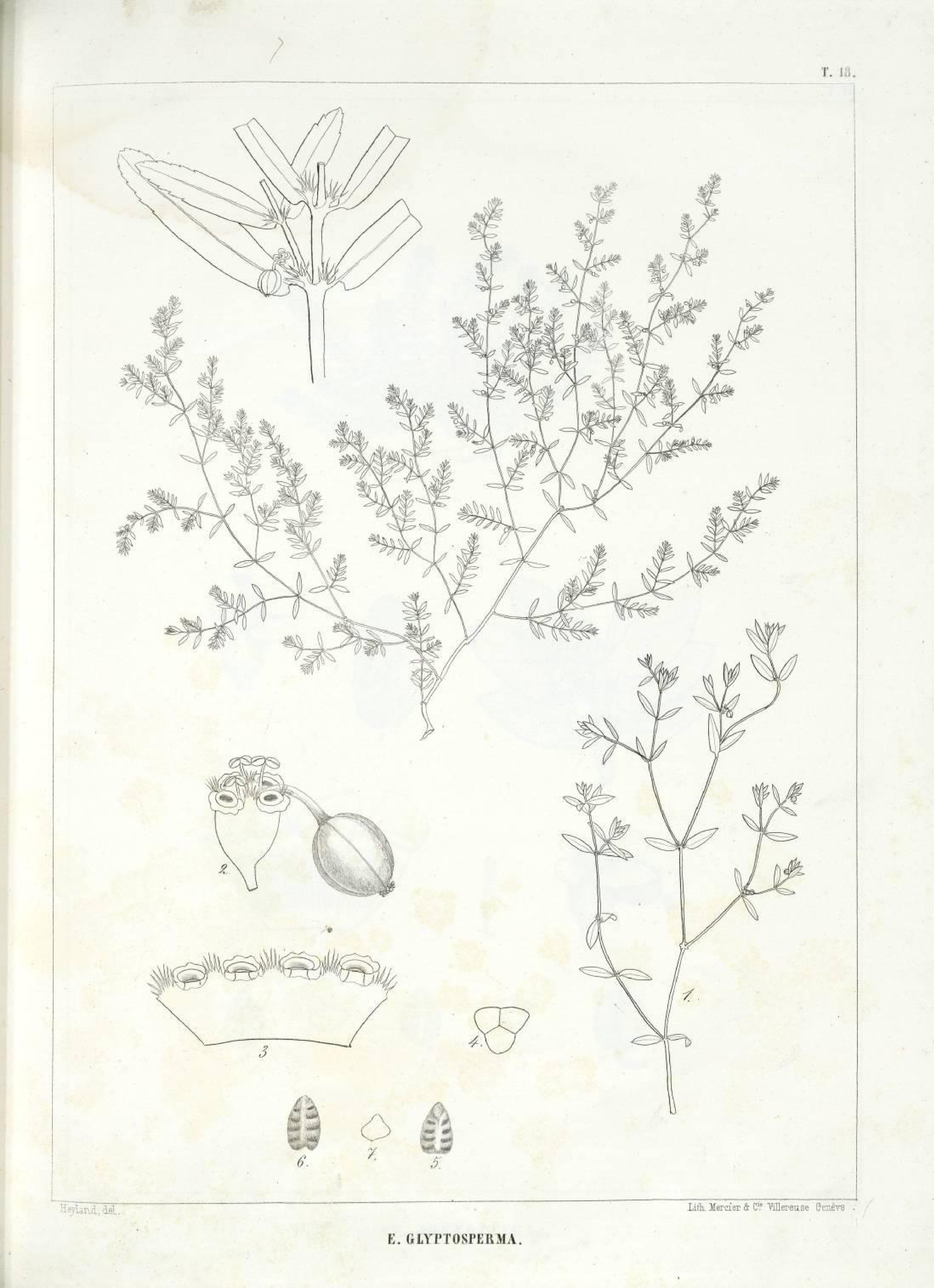 no full size  illustration available (3a)