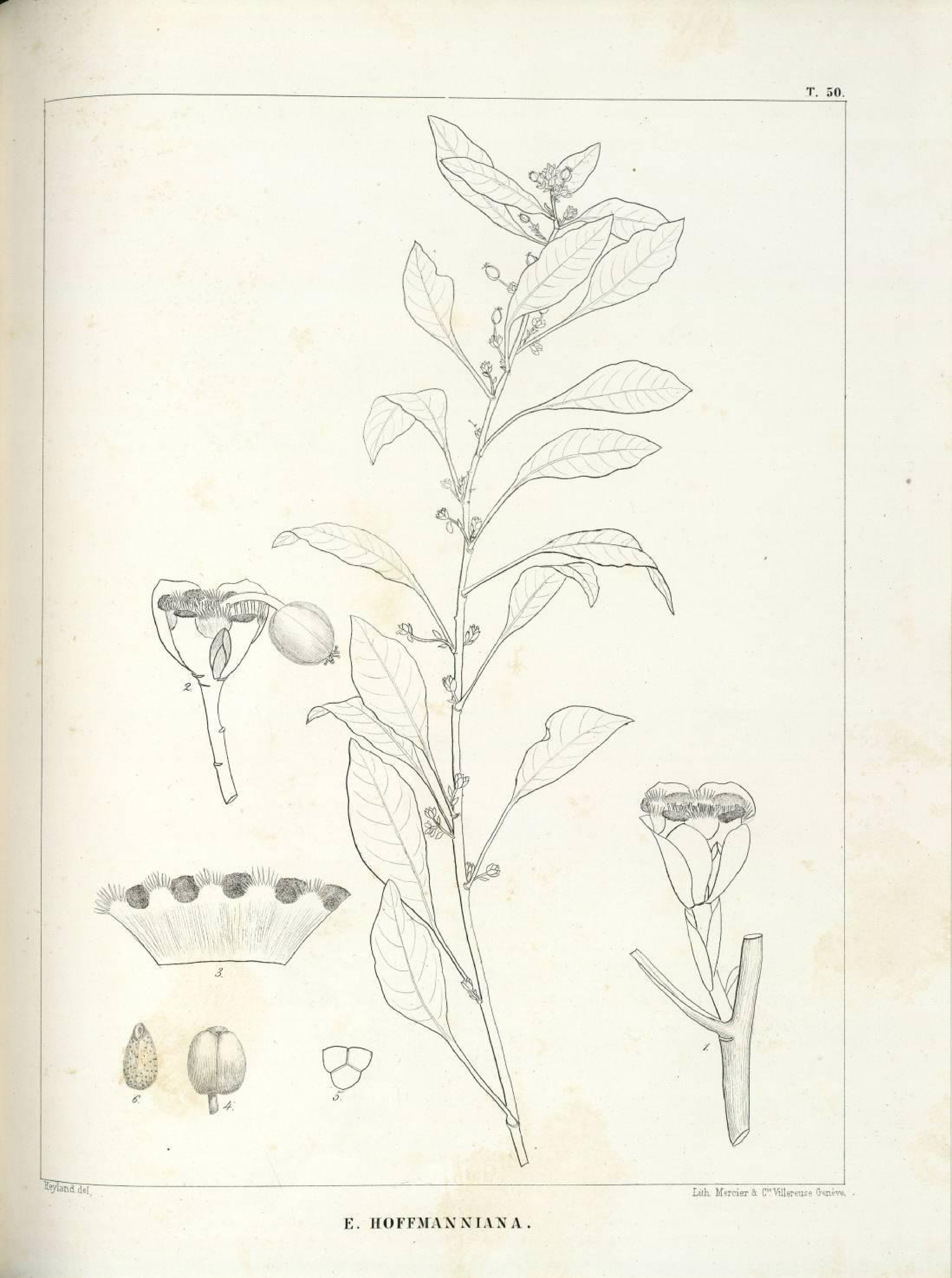 no full size  illustration available (3a)