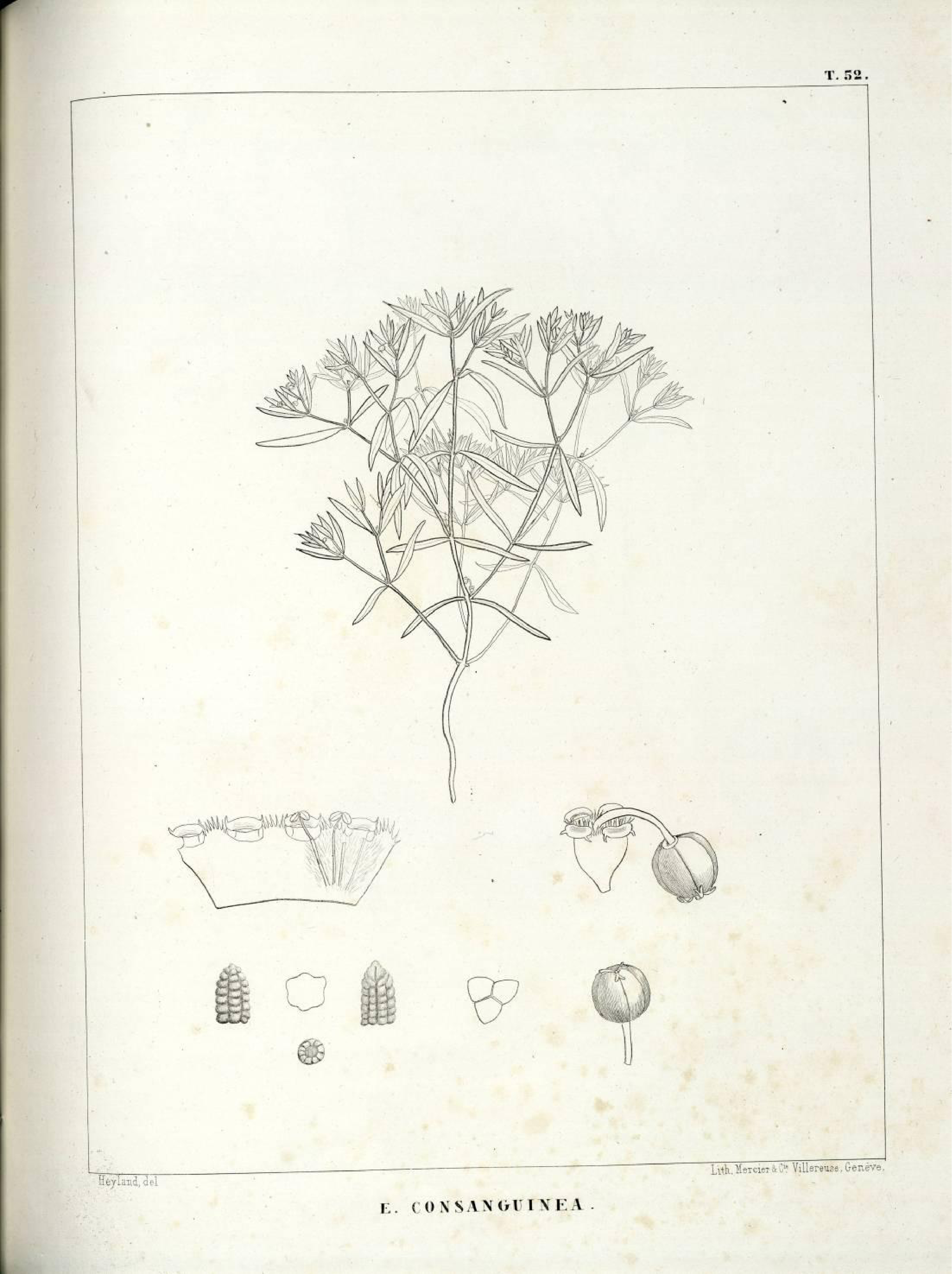 no full size  illustration available (3a)