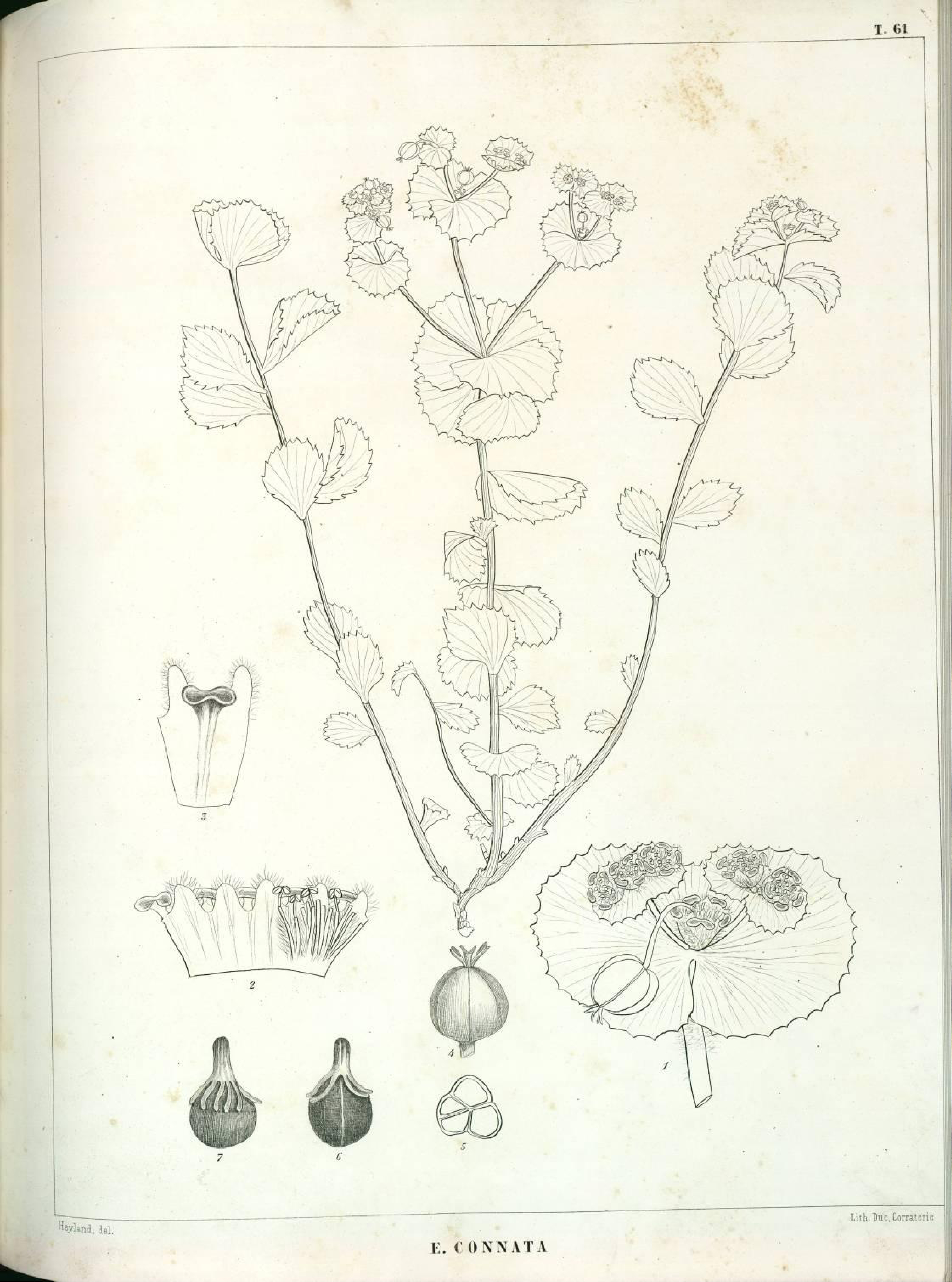 no full size  illustration available (3a)