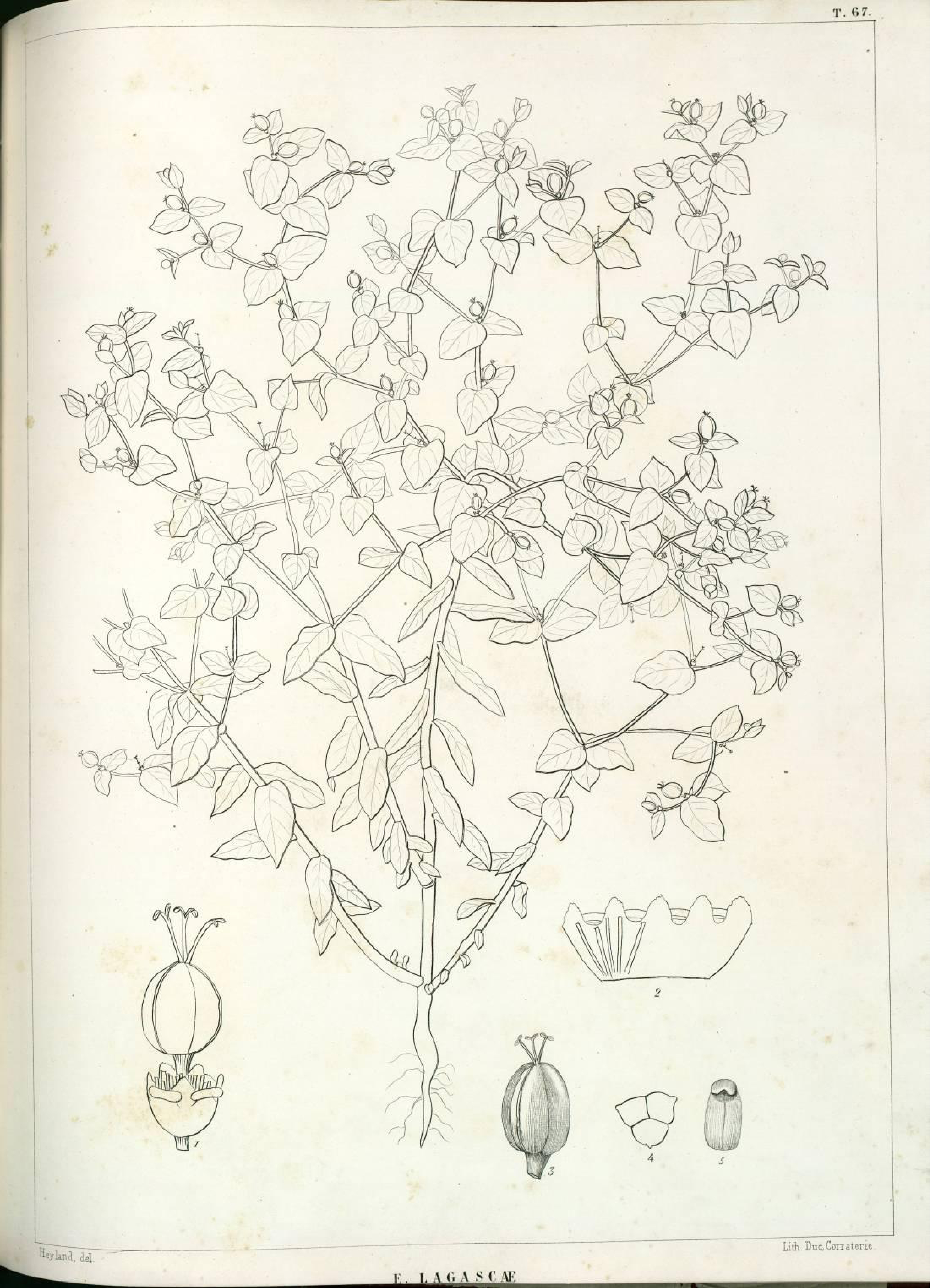 no full size  illustration available (3a)