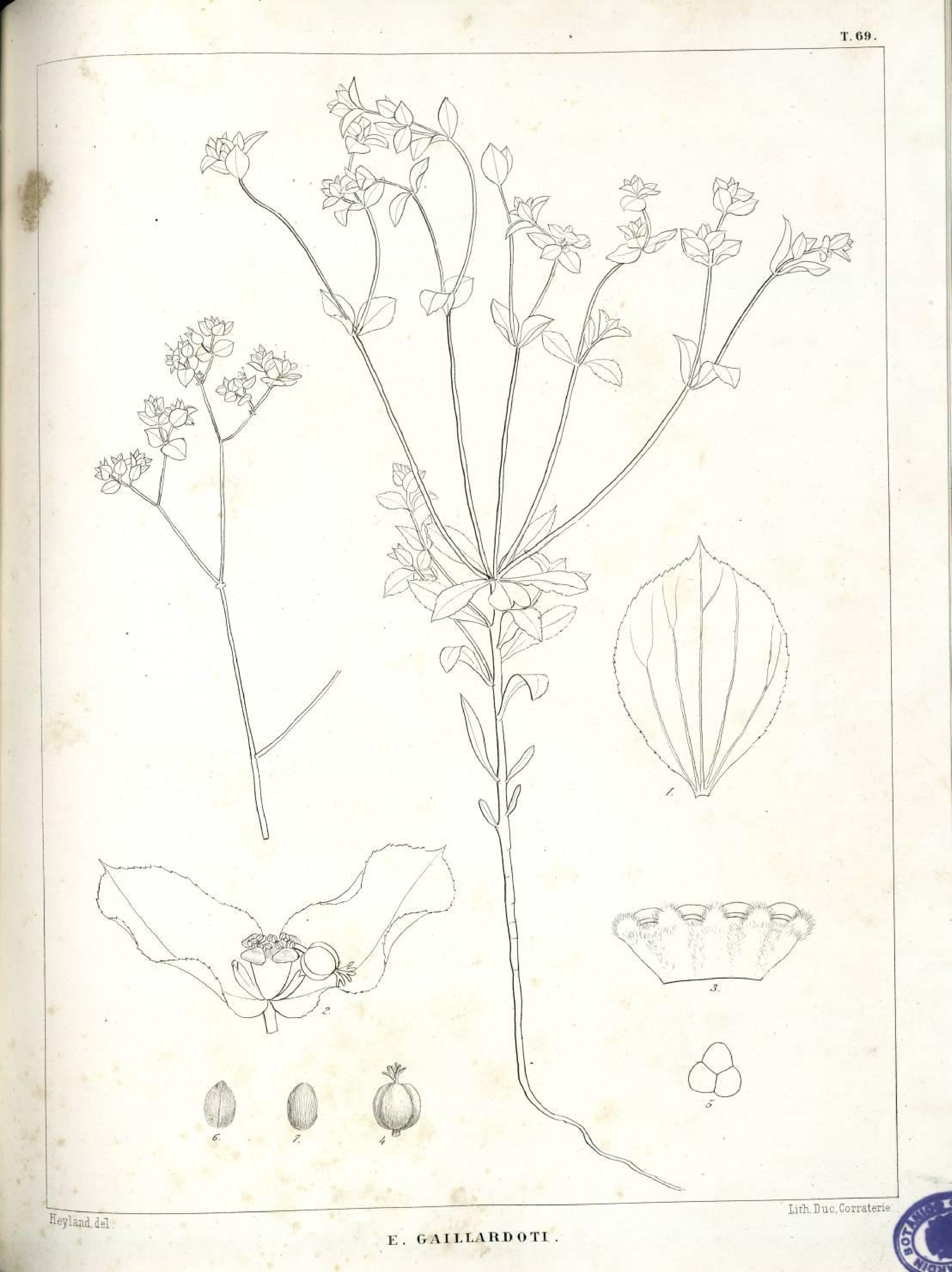 no full size  illustration available (3a)