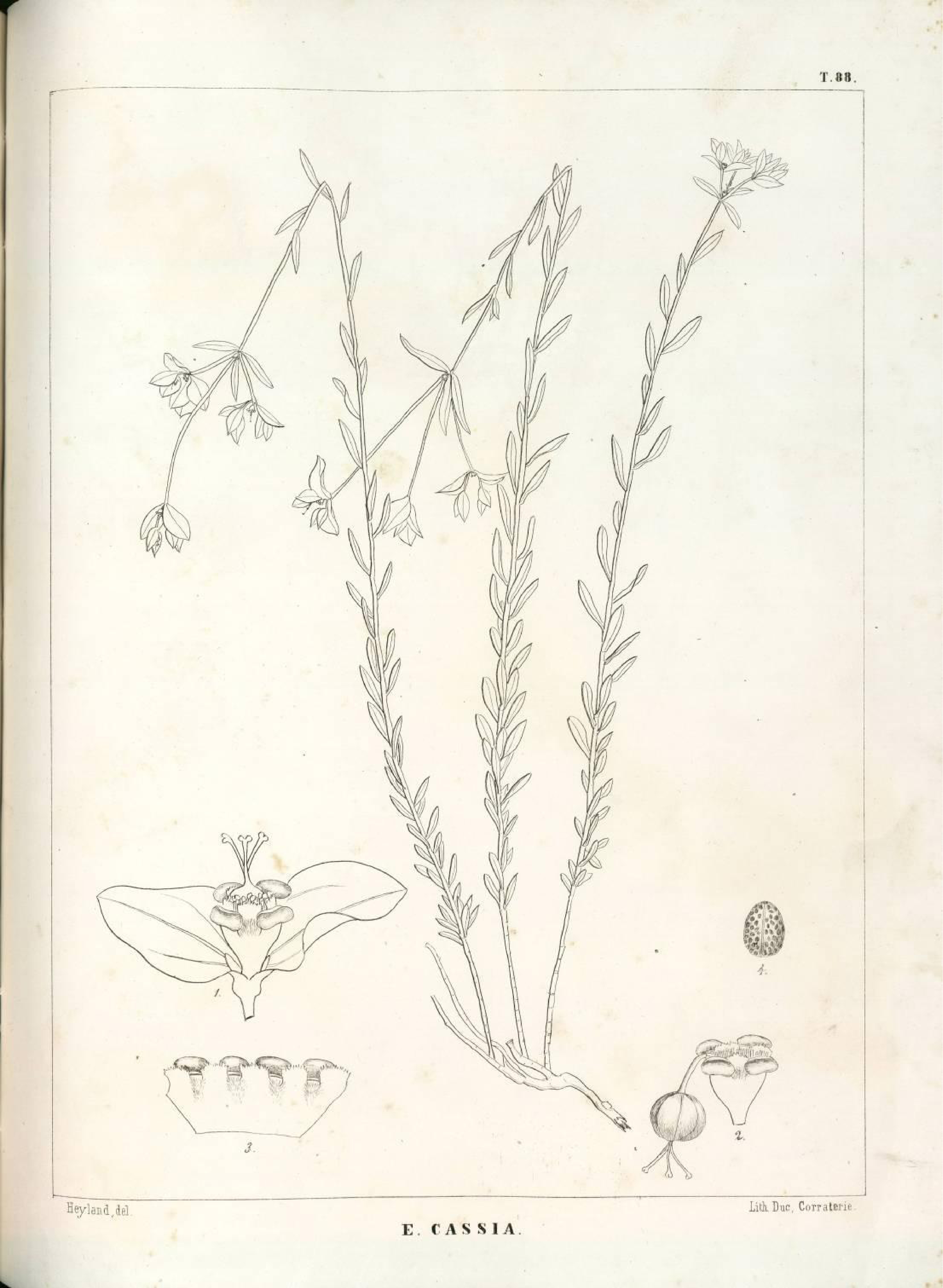 no full size  illustration available (3a)