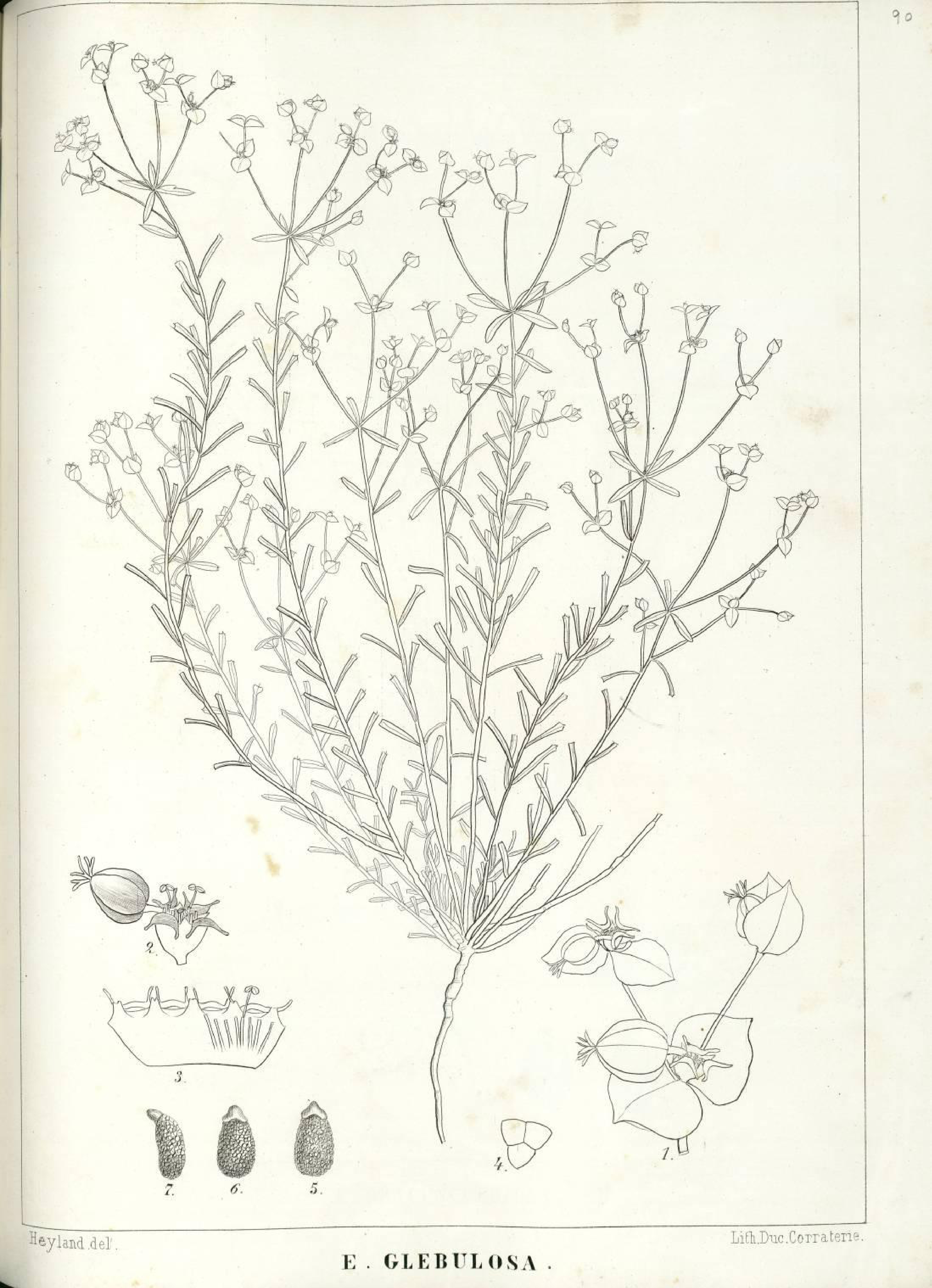 no full size  illustration available (3a)