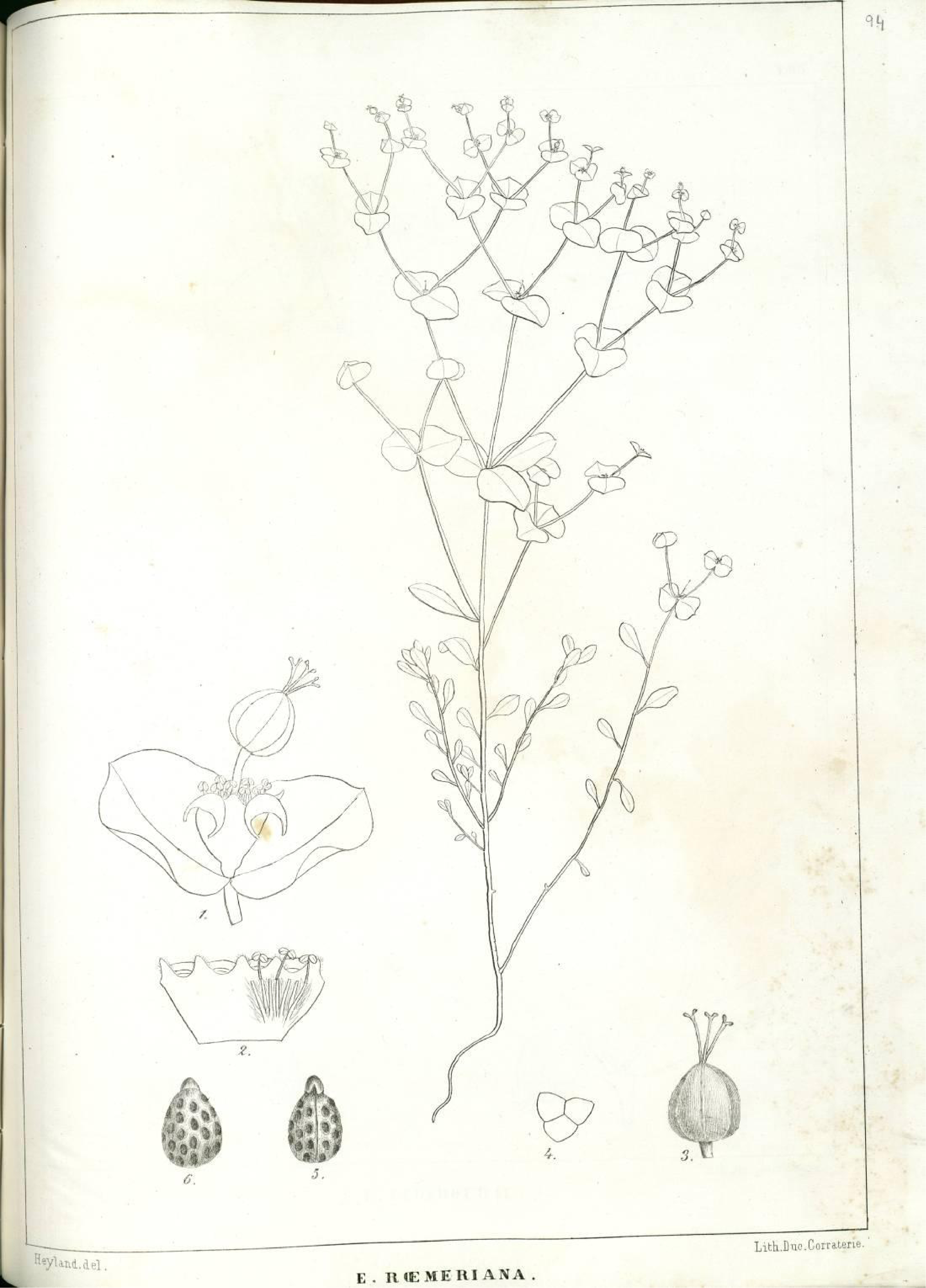 no full size  illustration available (3a)