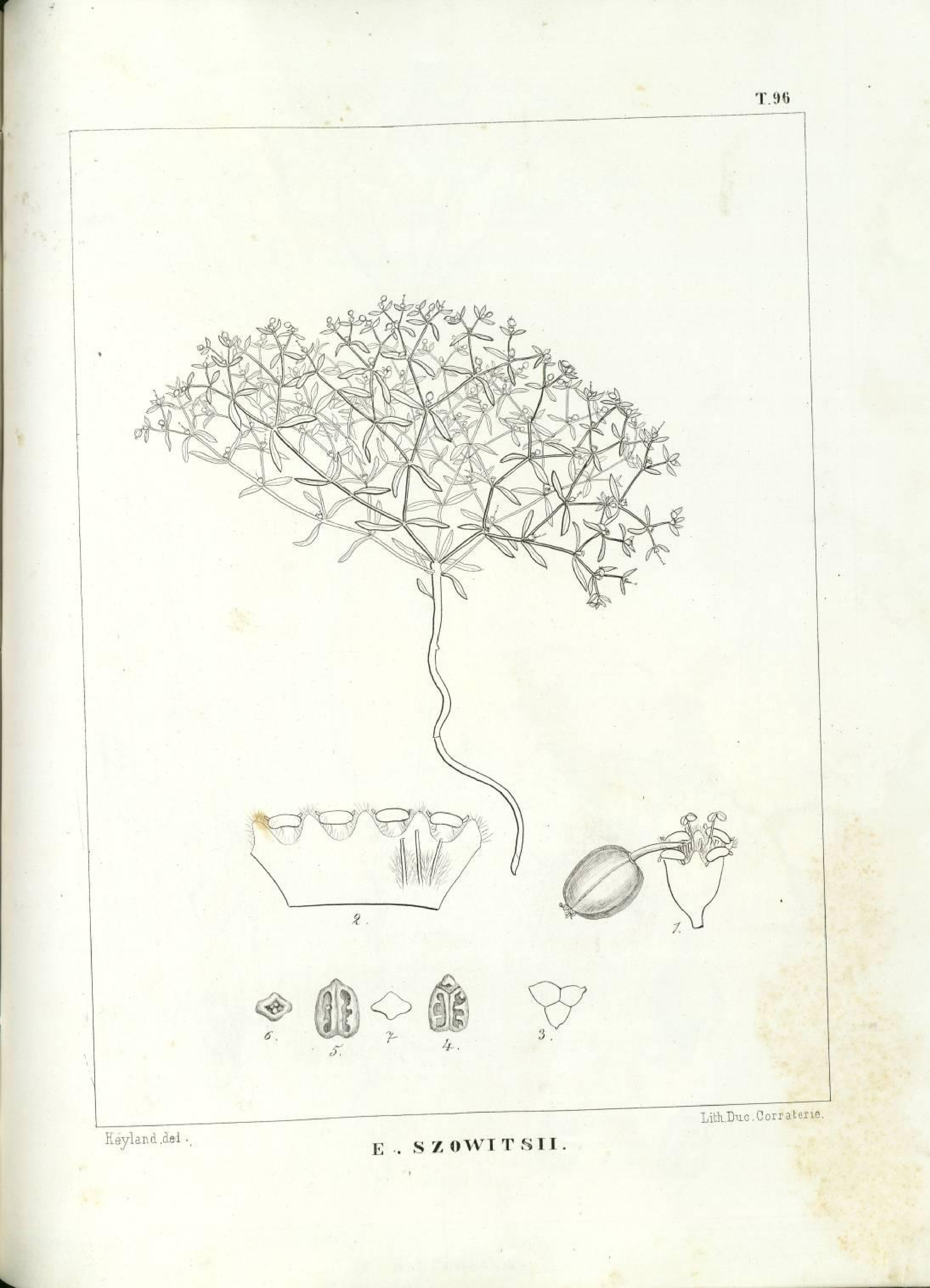 no full size  illustration available (3a)