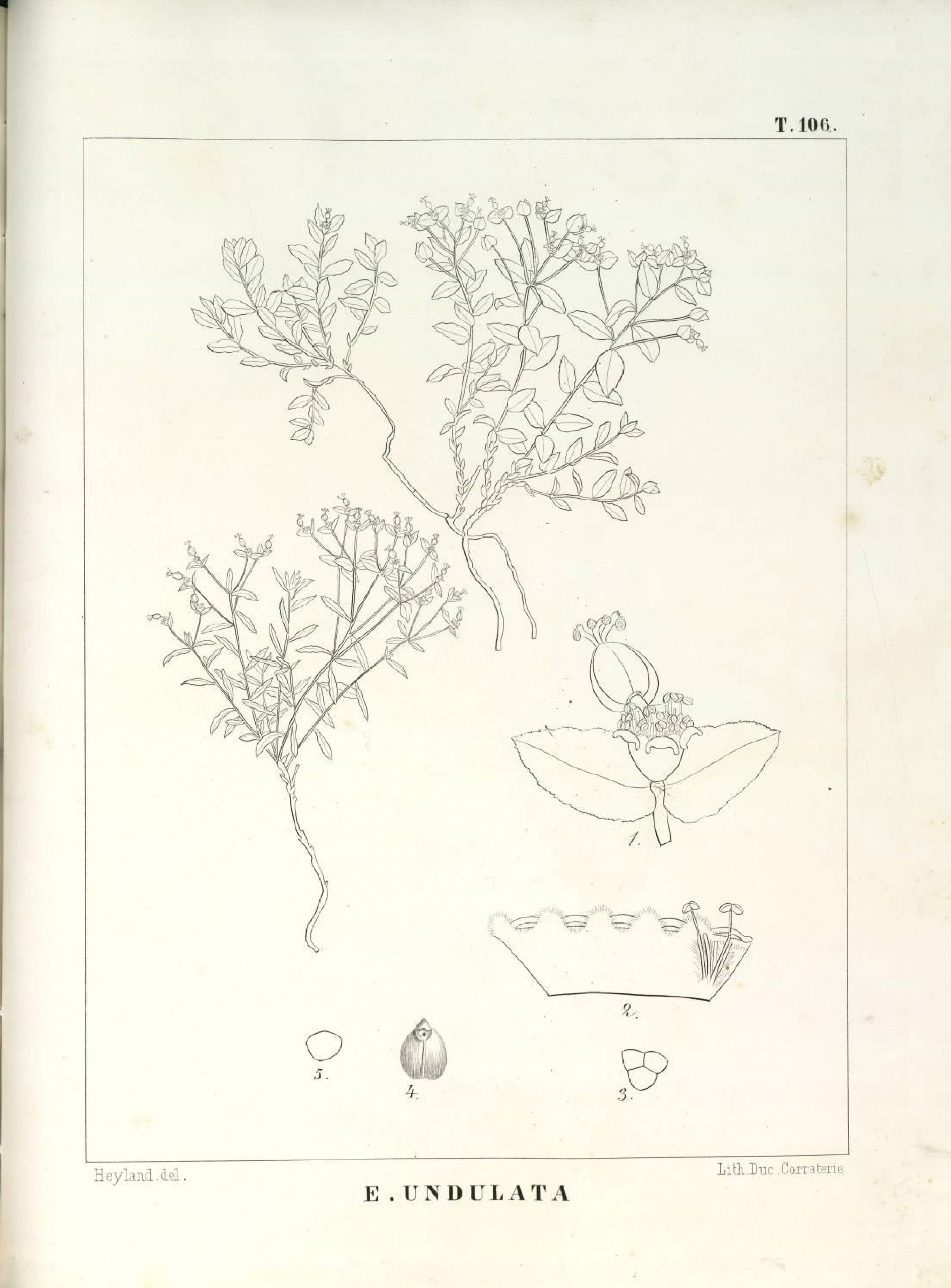 no full size  illustration available (3a)