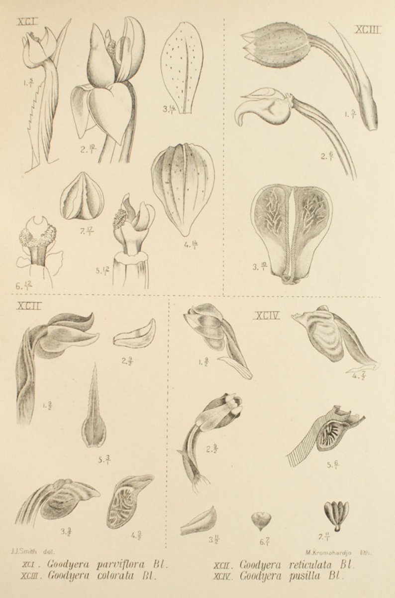 no full size  illustration available (3a)