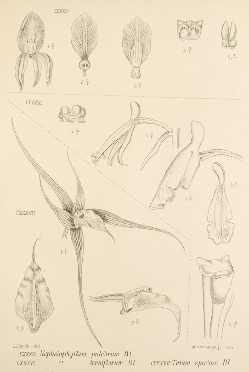 no full size  illustration available (3a)