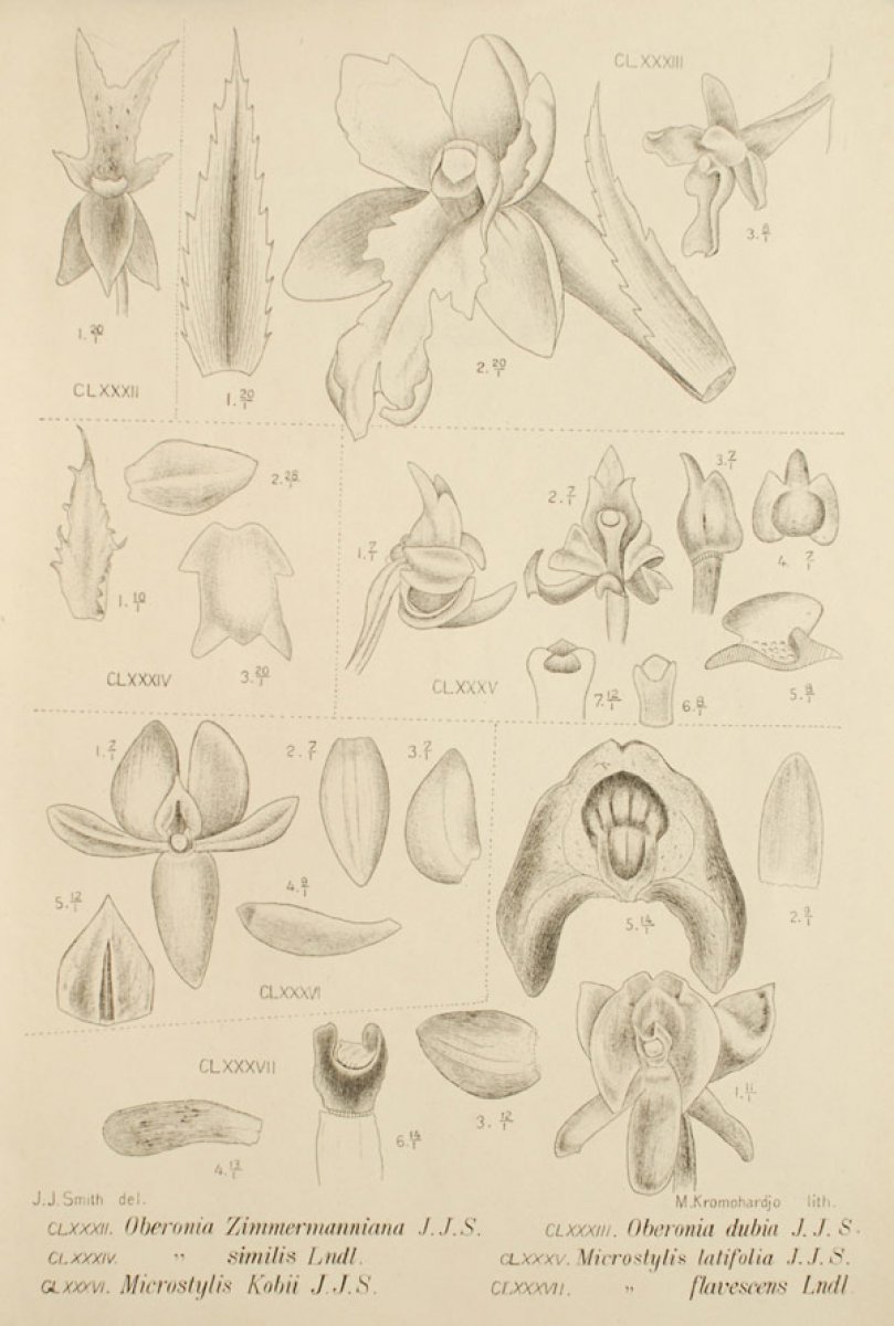 no full size  illustration available (3a)