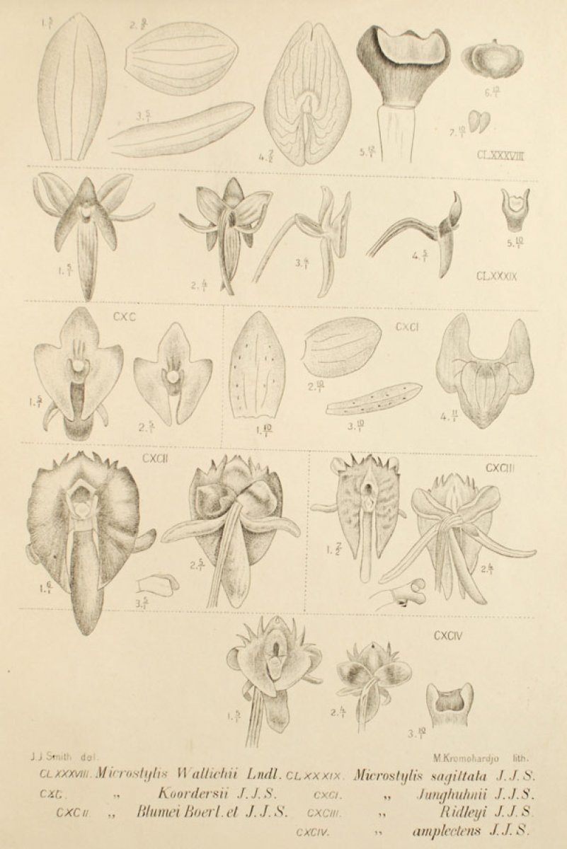 no full size  illustration available (3a)