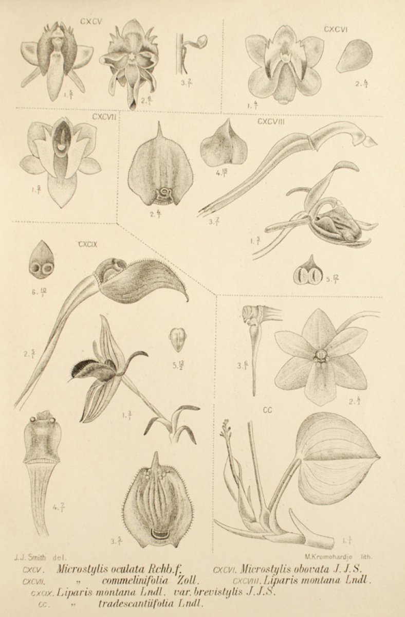 no full size  illustration available (3a)