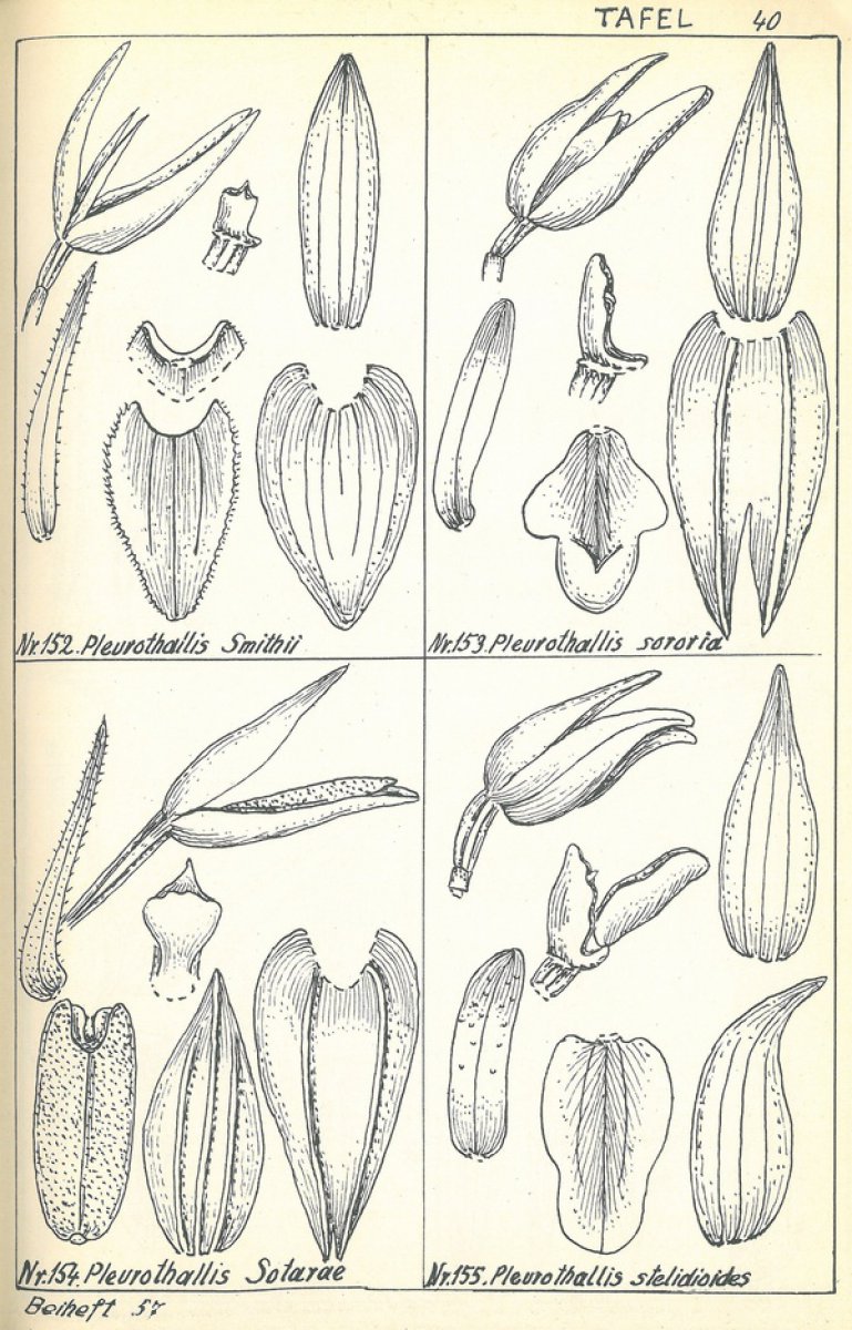 no full size  illustration available (3a)