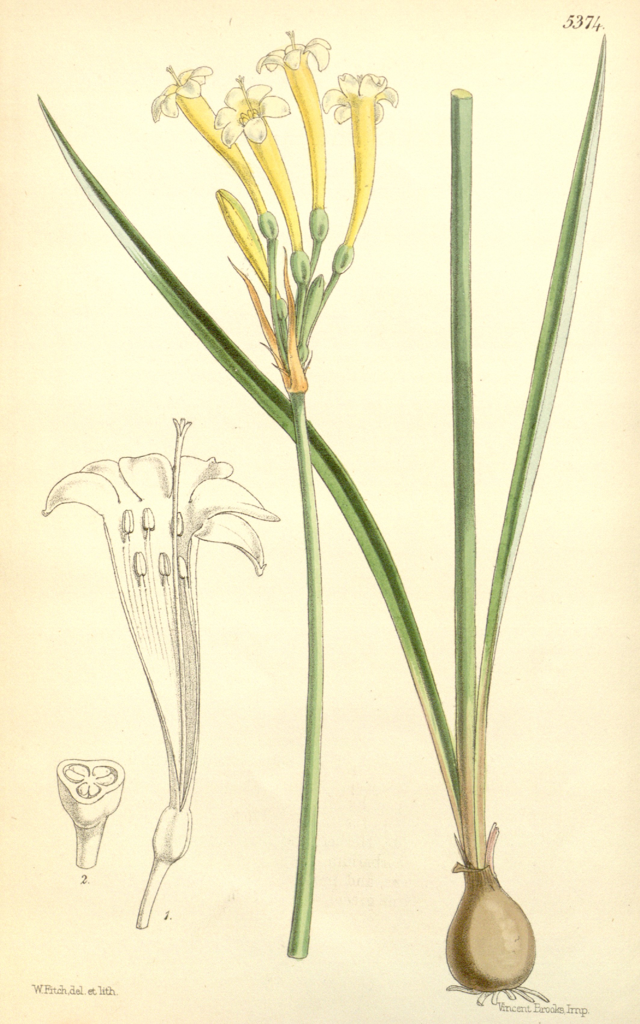 no full size  illustration available (3a)