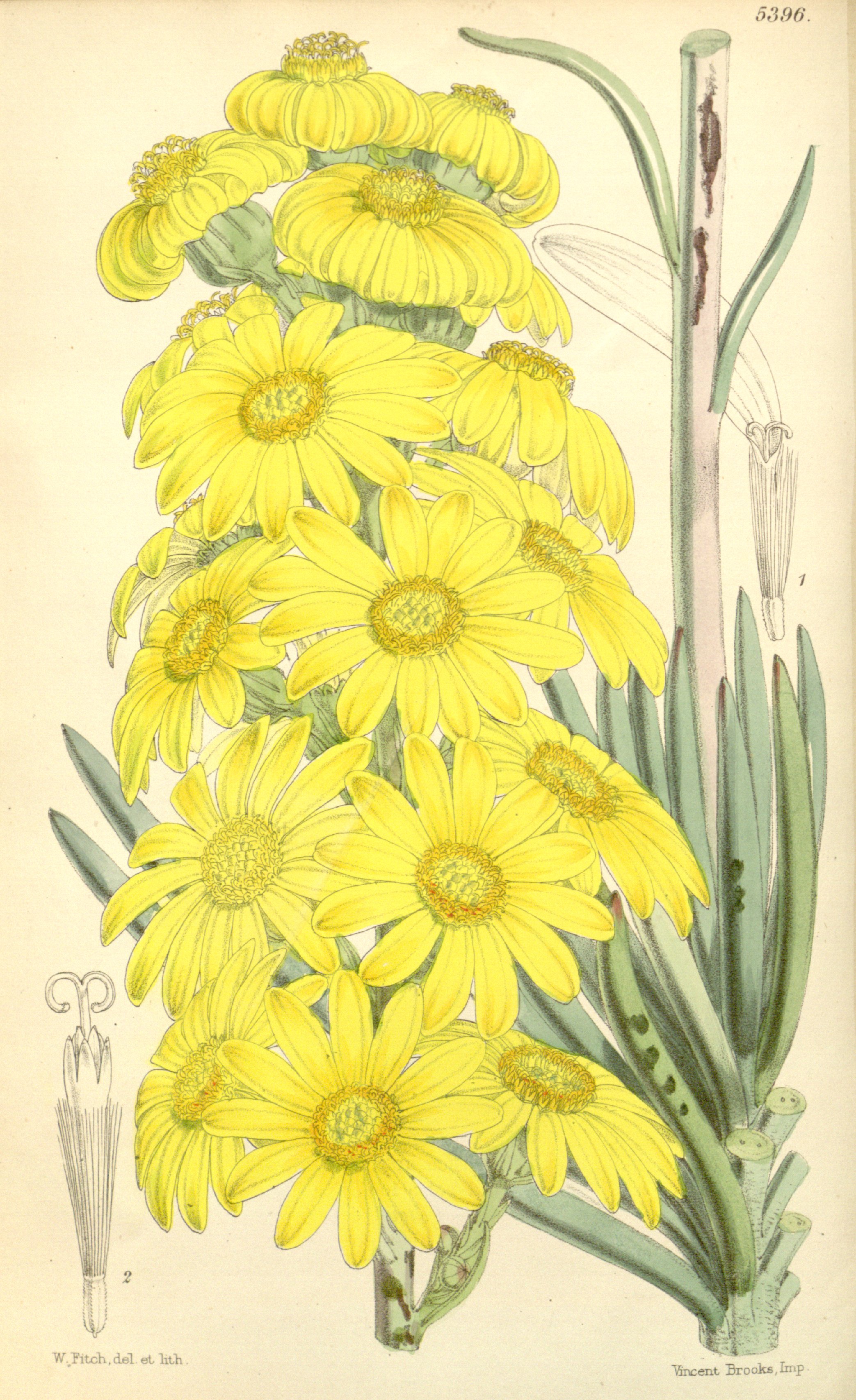 no full size  illustration available (3a)