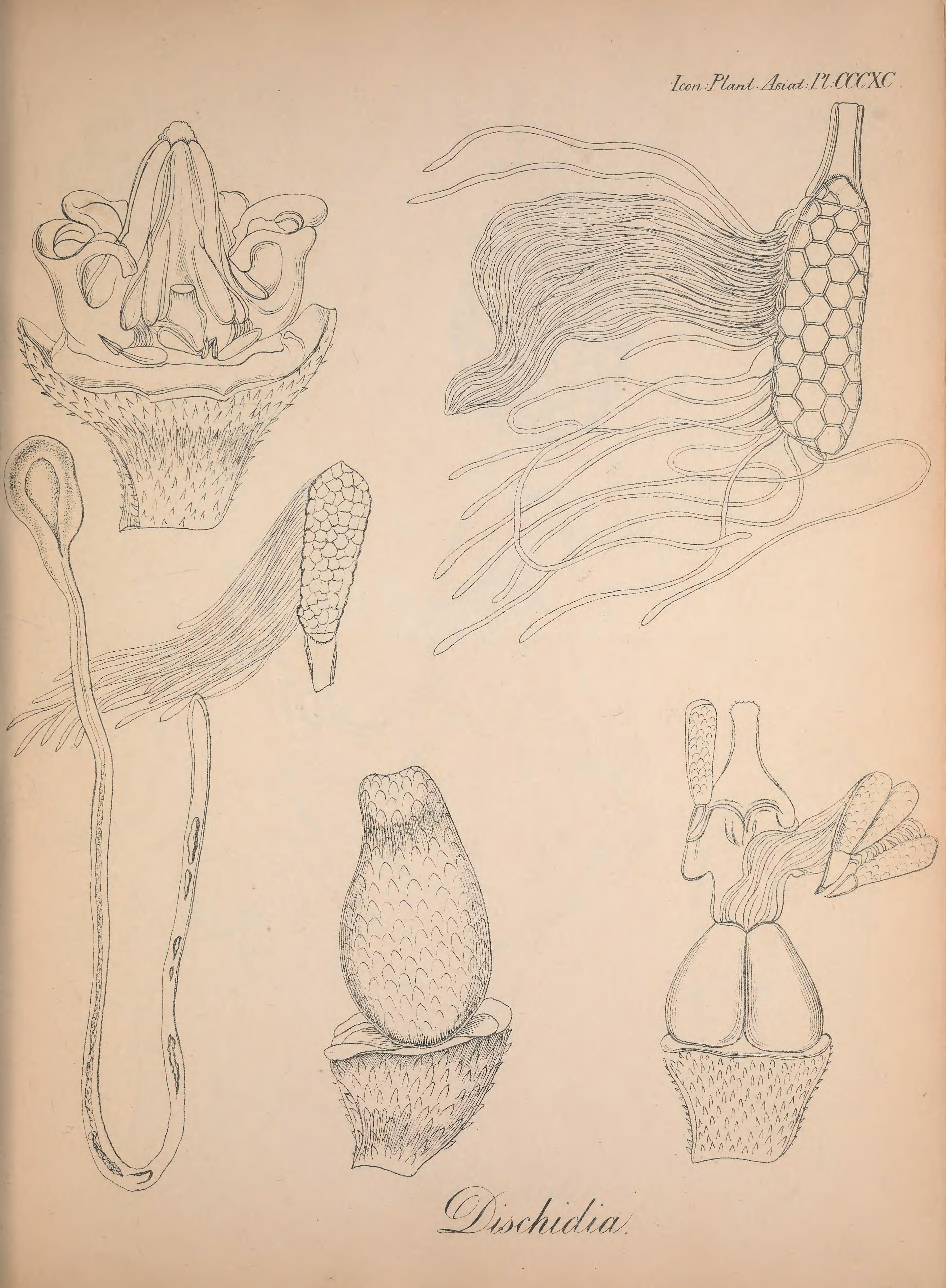 no full size  illustration available (3a)