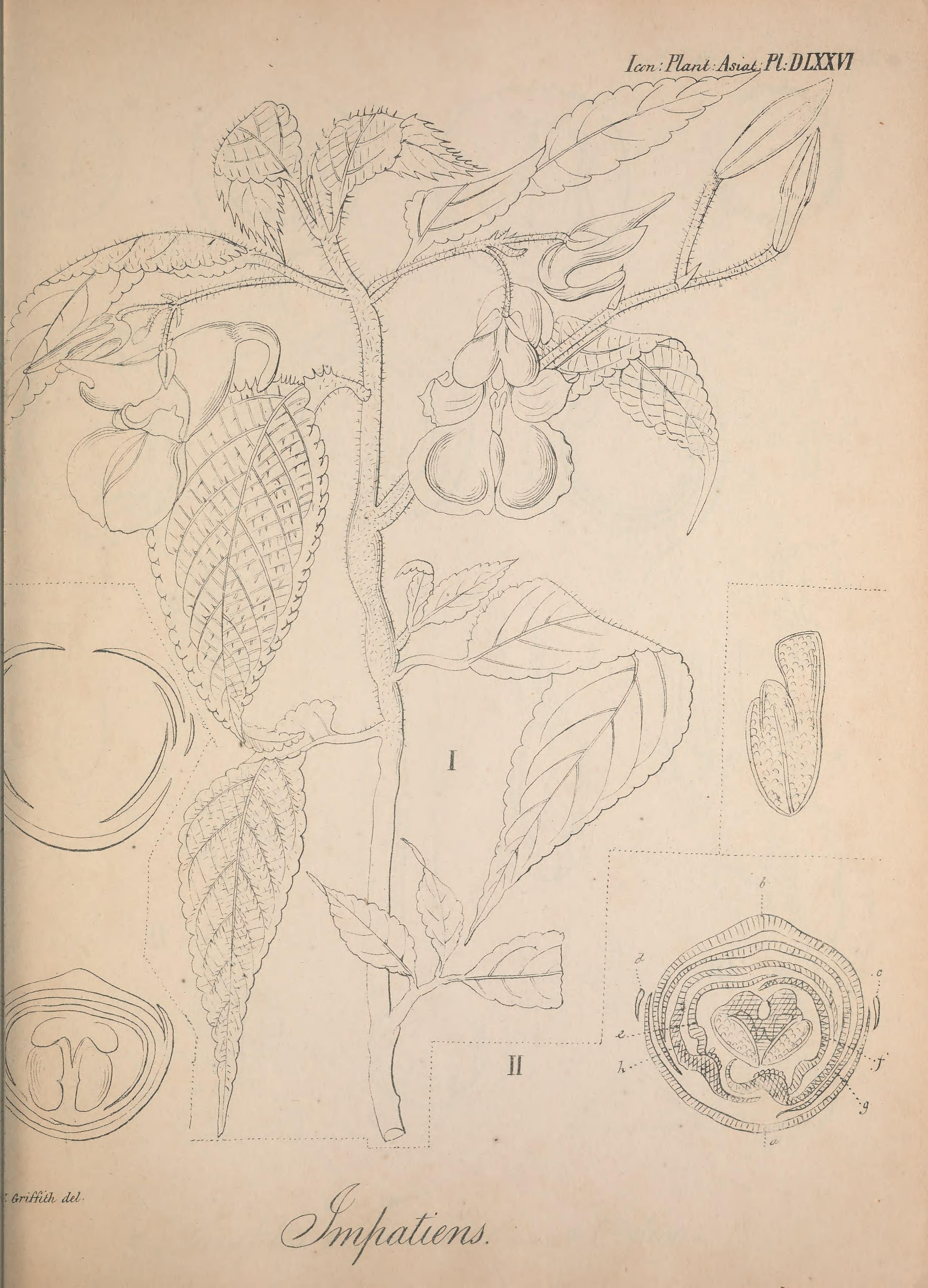 no full size  illustration available (3a)