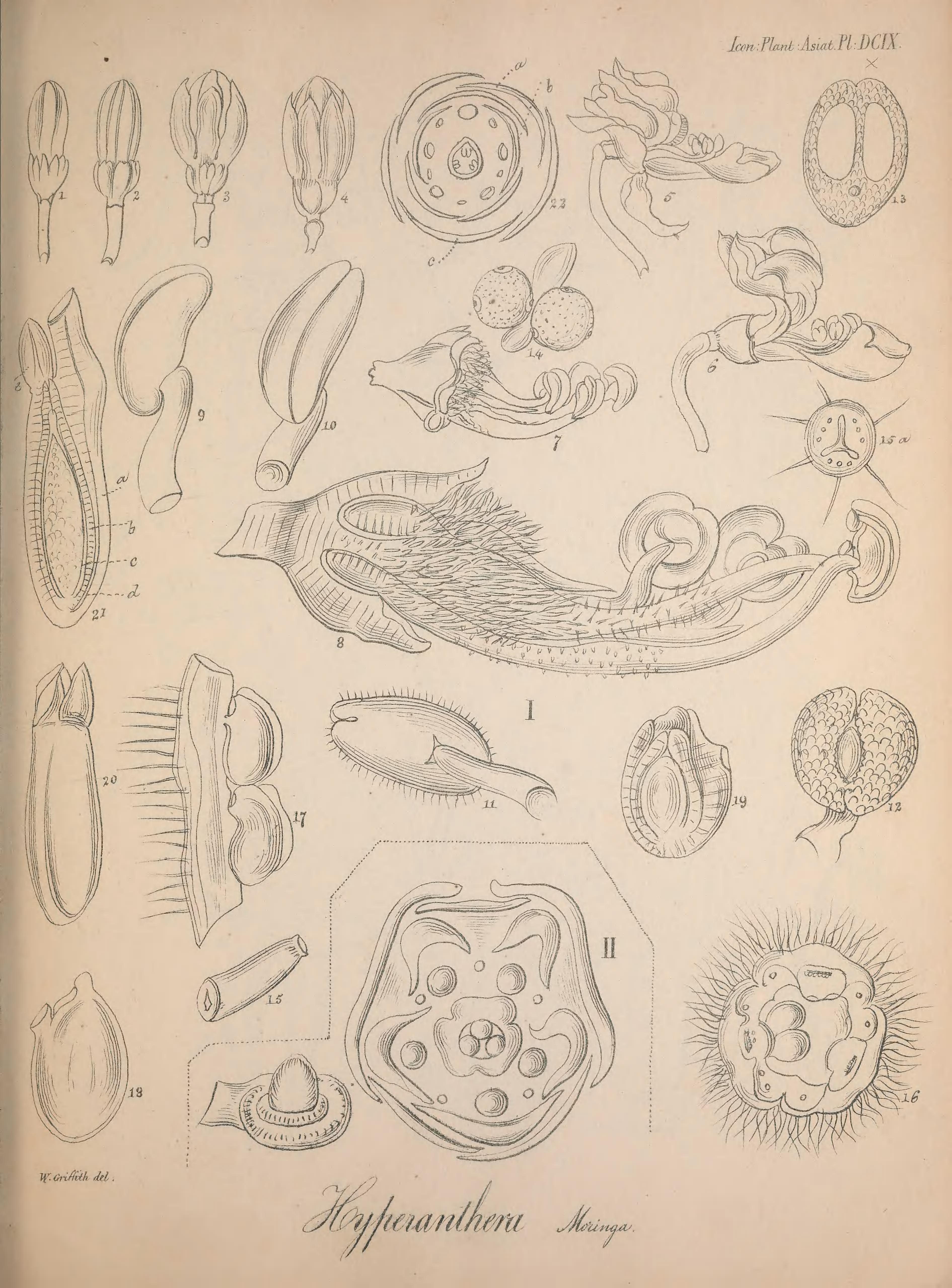 no full size  illustration available (3a)