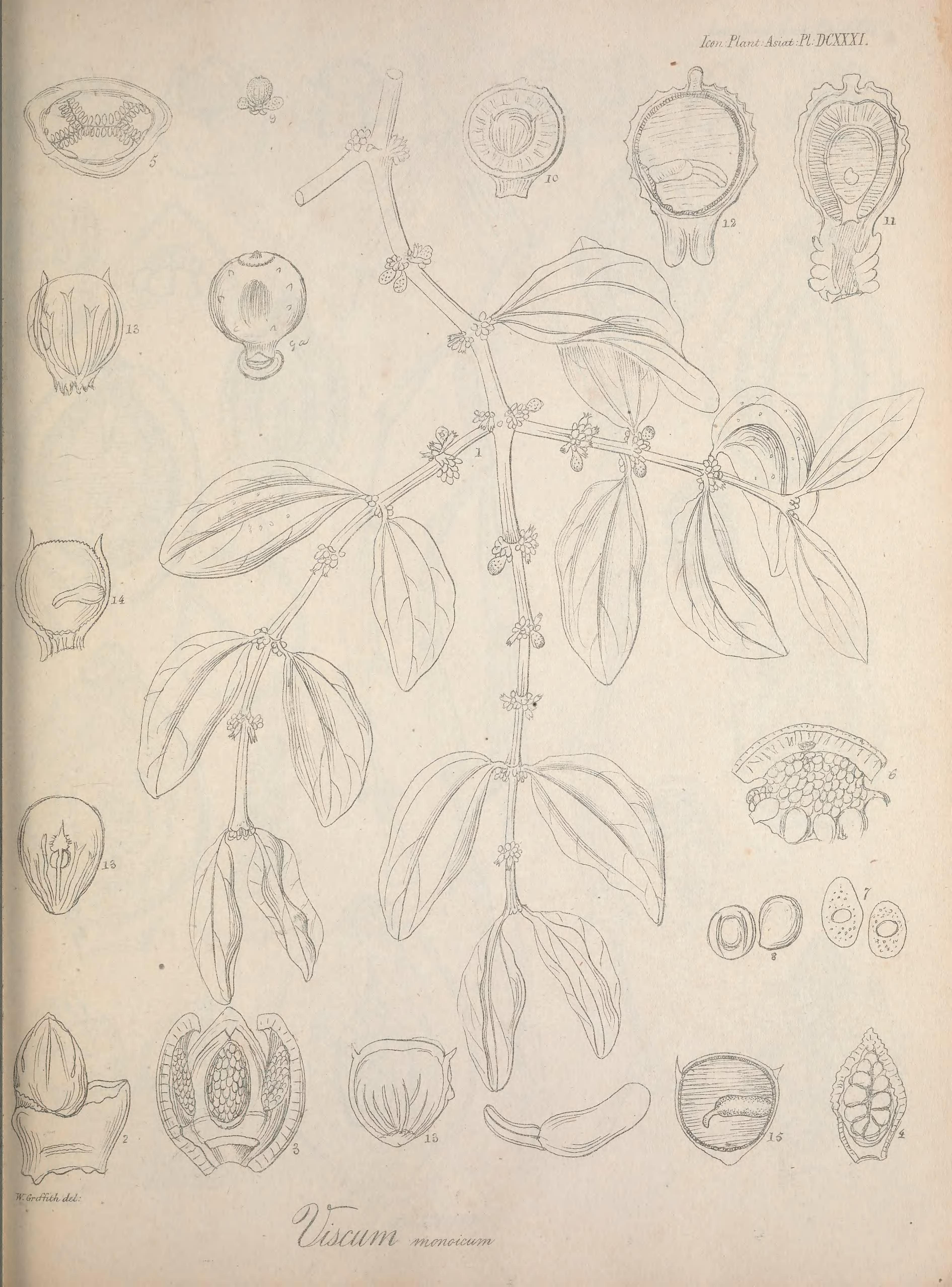 no full size  illustration available (3a)