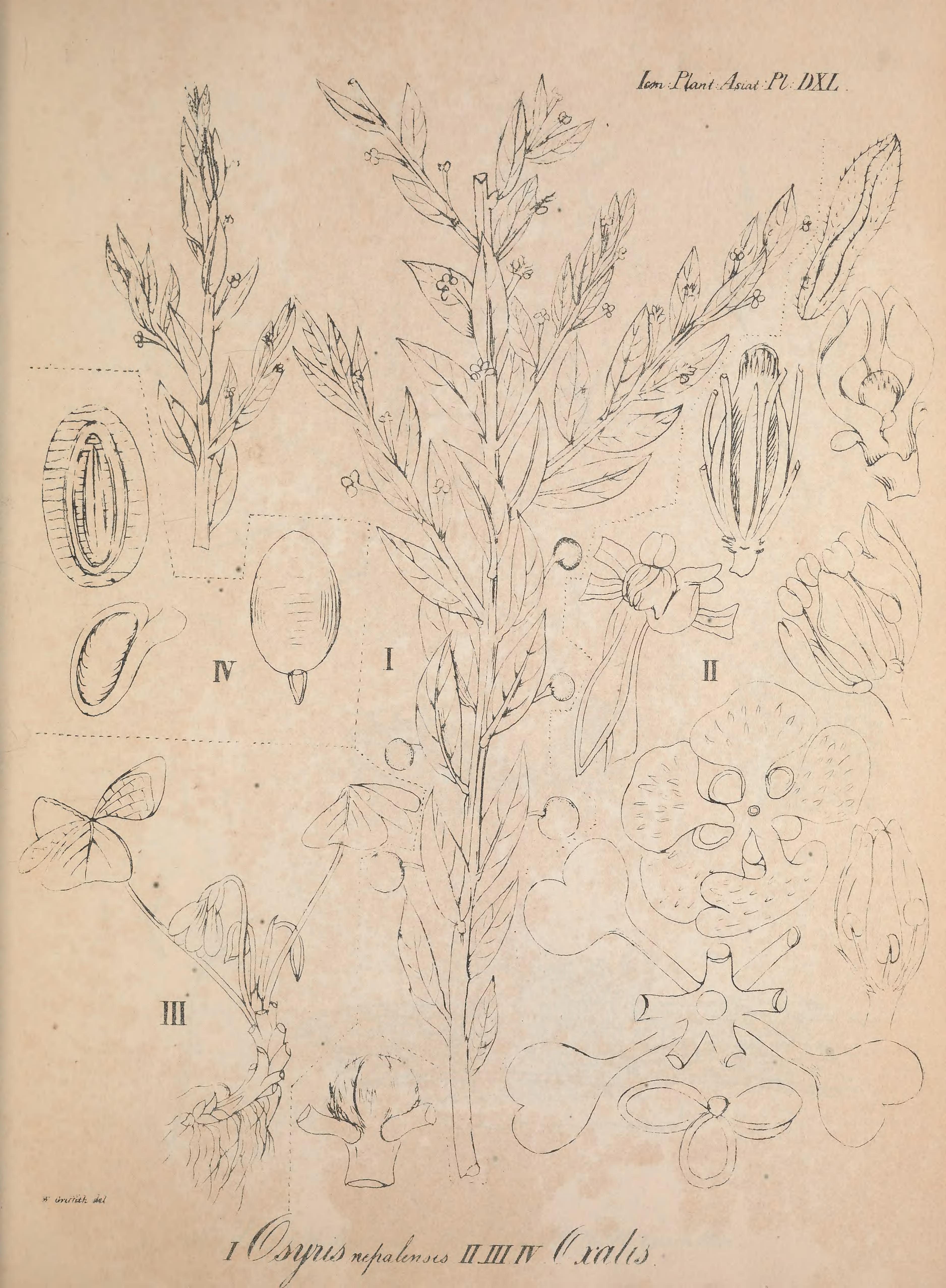 no full size  illustration available (3a)