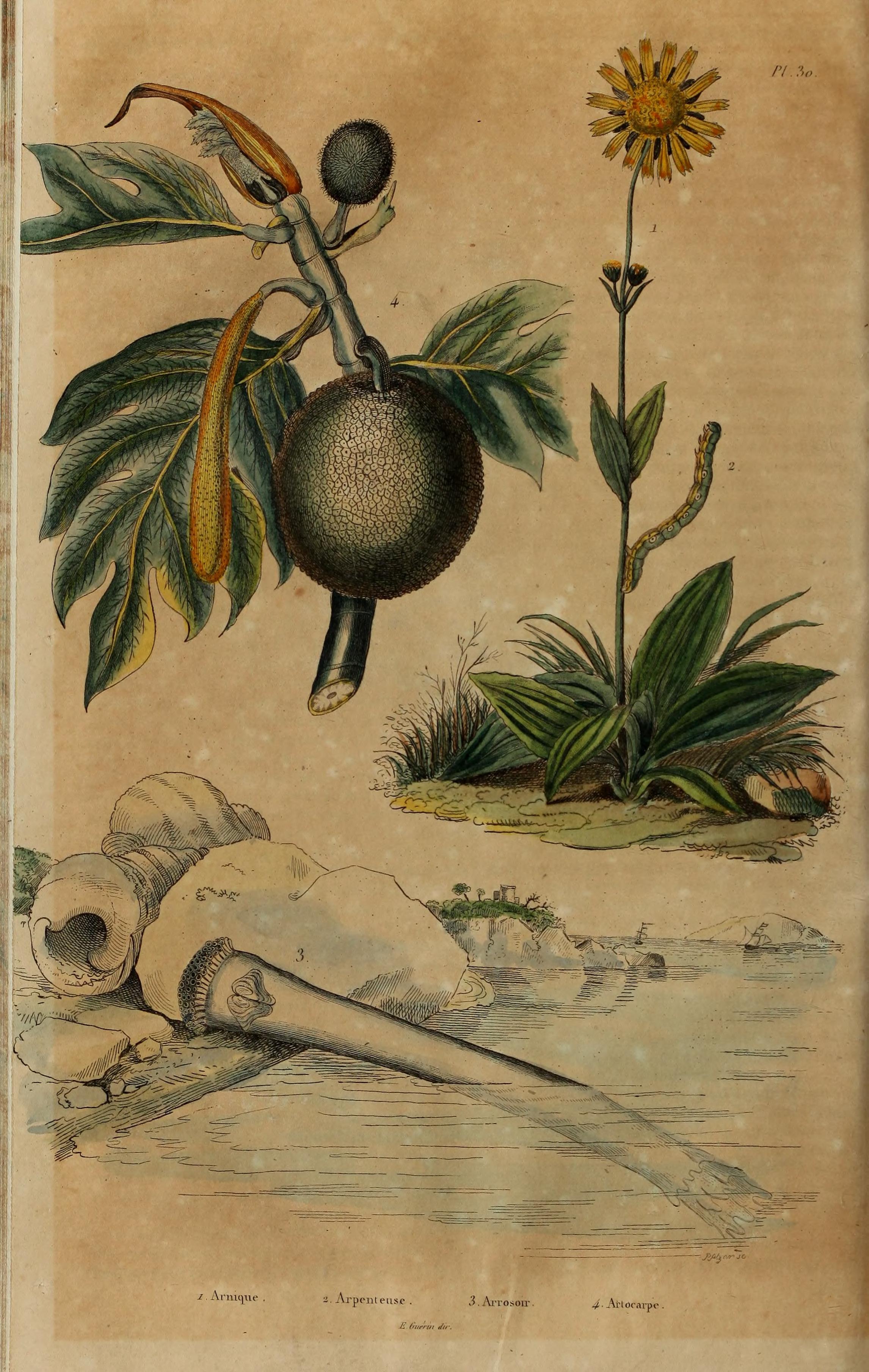 no full size  illustration available (3a)