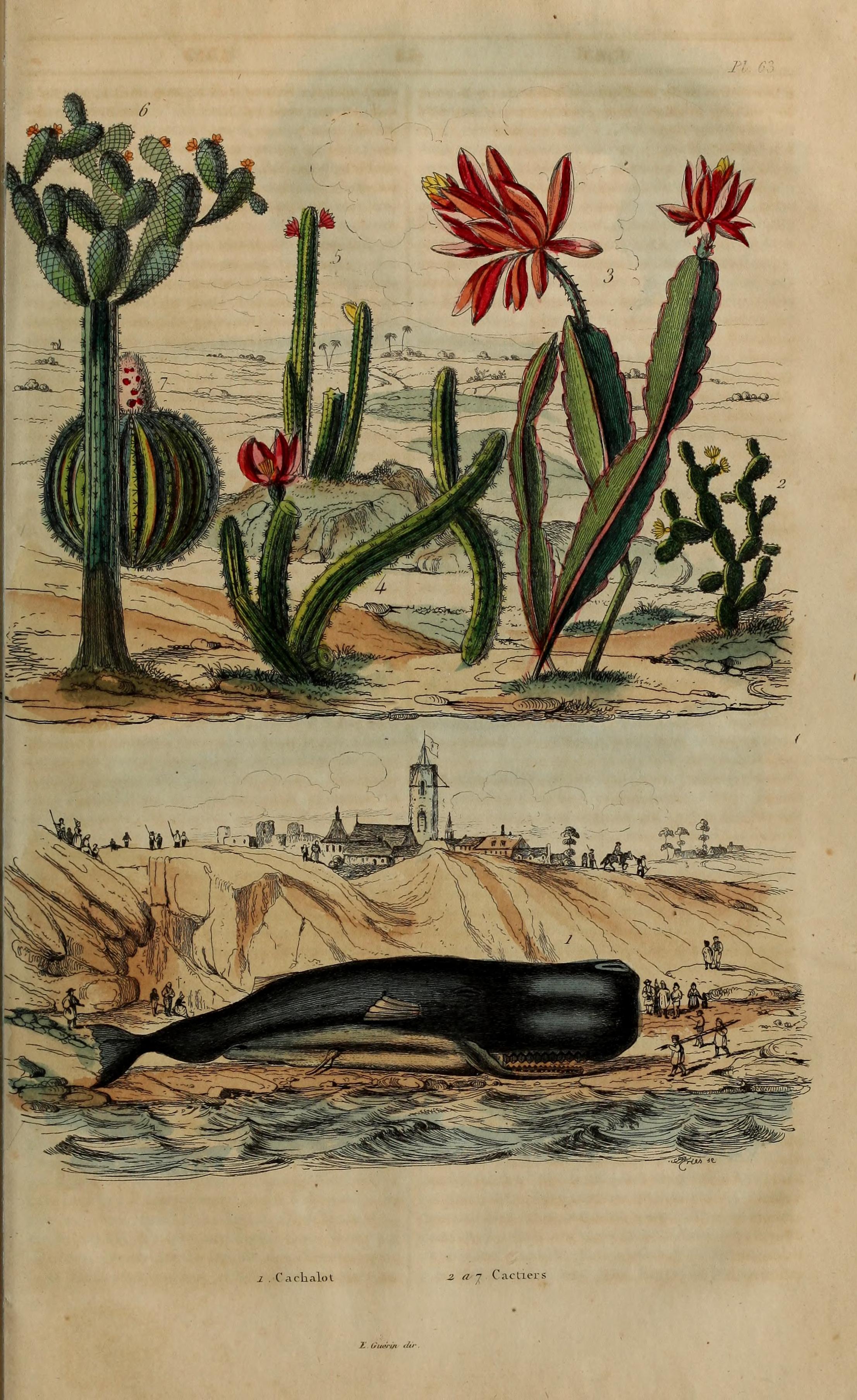 no full size  illustration available (3a)