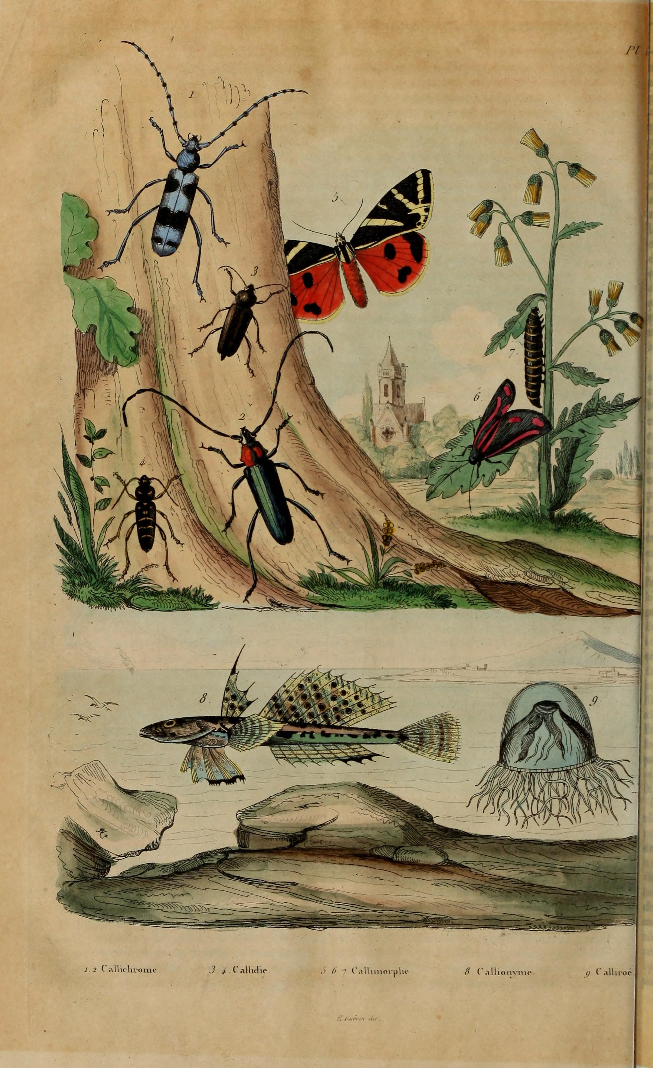 no full size  illustration available (3a)