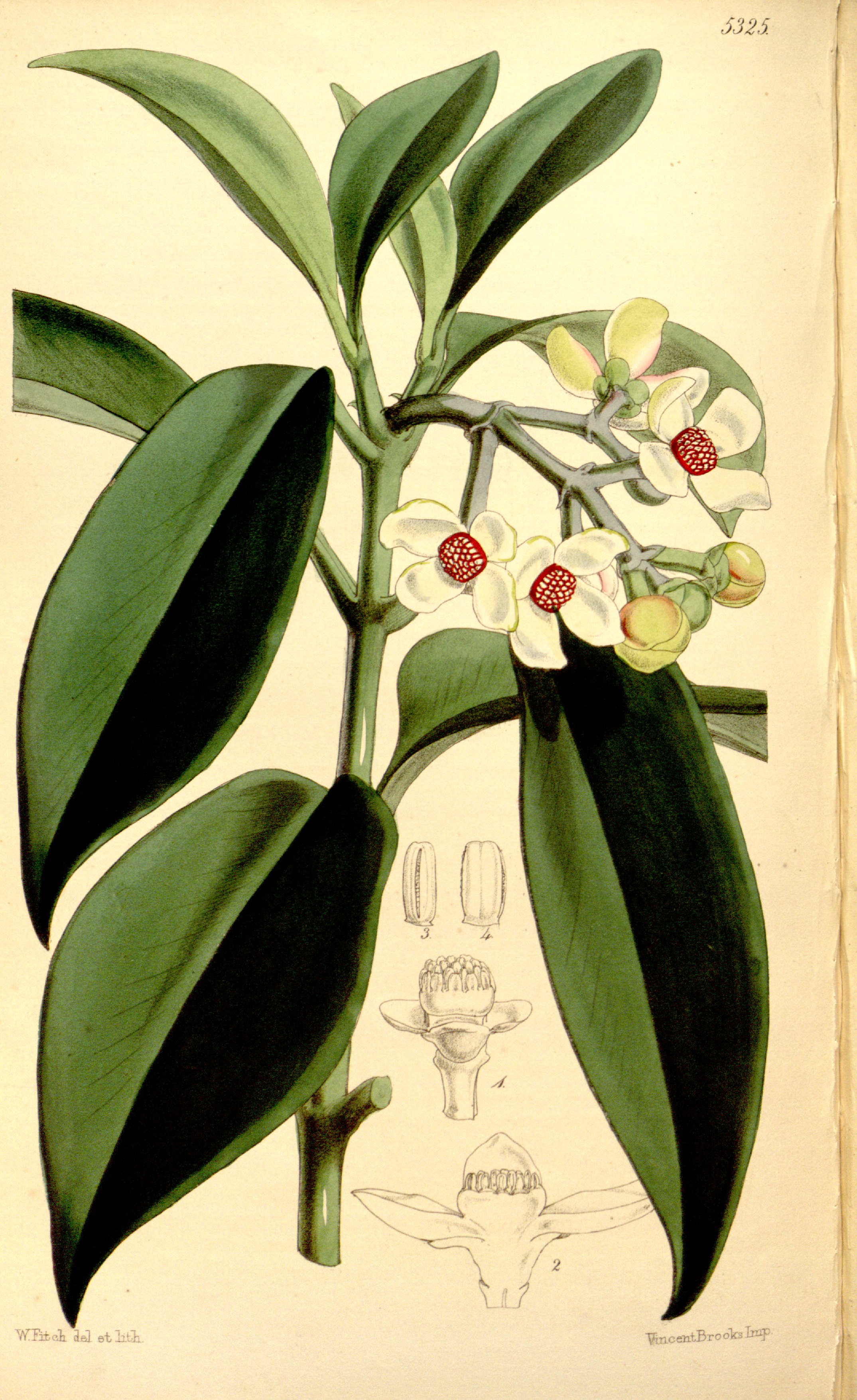 no full size  illustration available (3a)