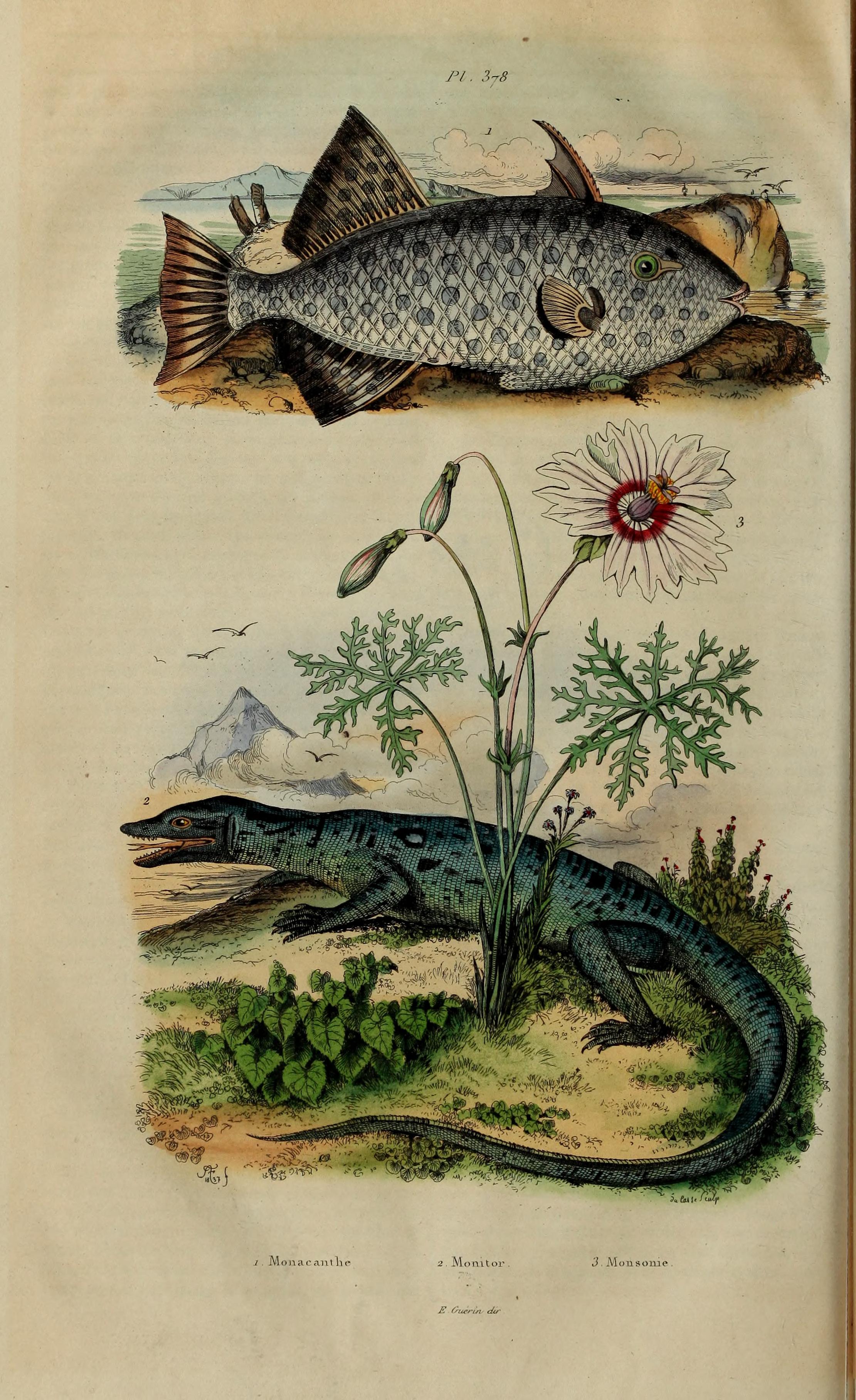 no full size  illustration available (3a)