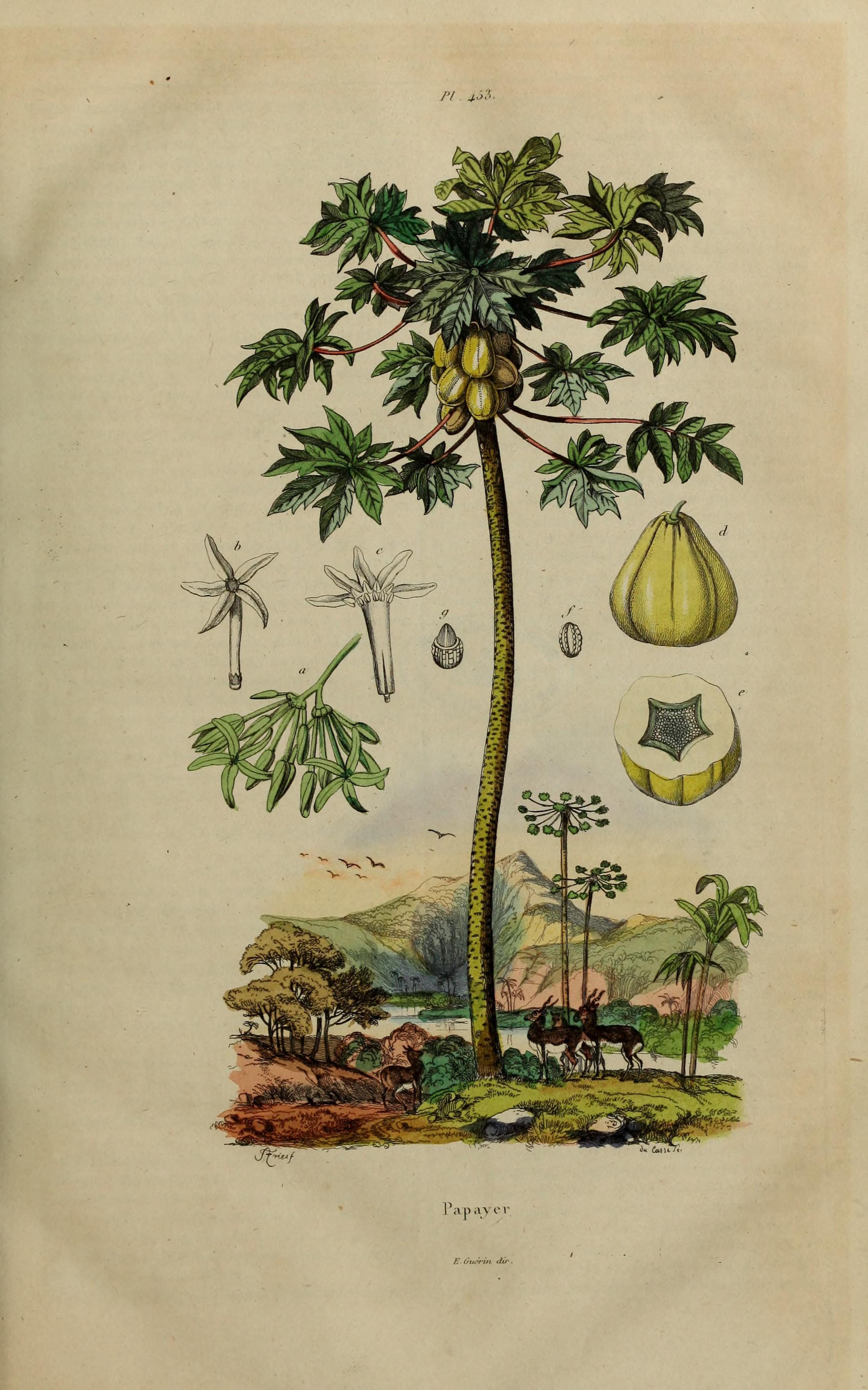 no full size  illustration available (3a)