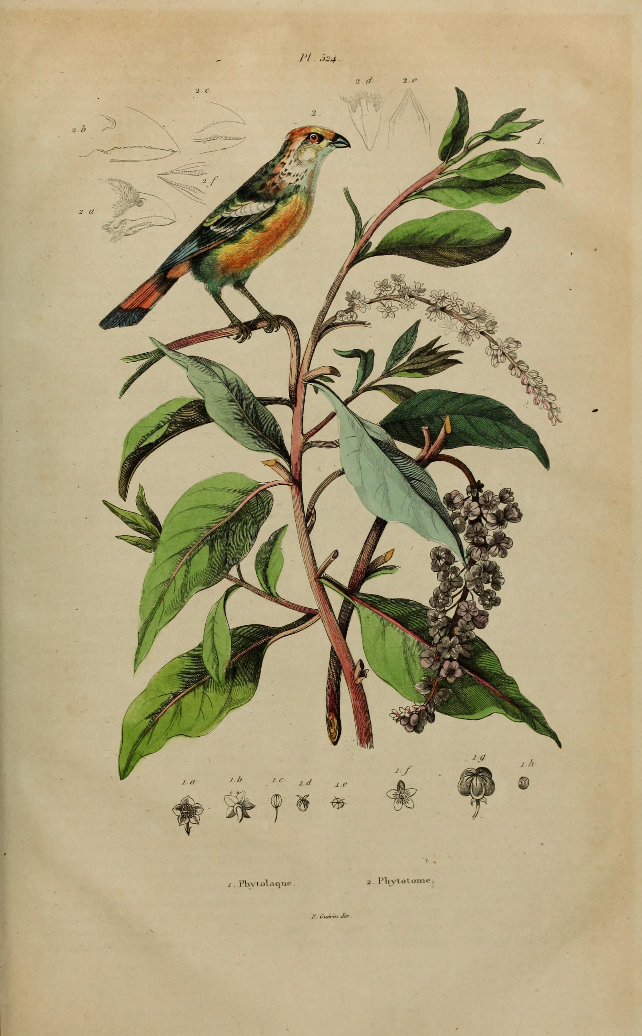 no full size  illustration available (3a)