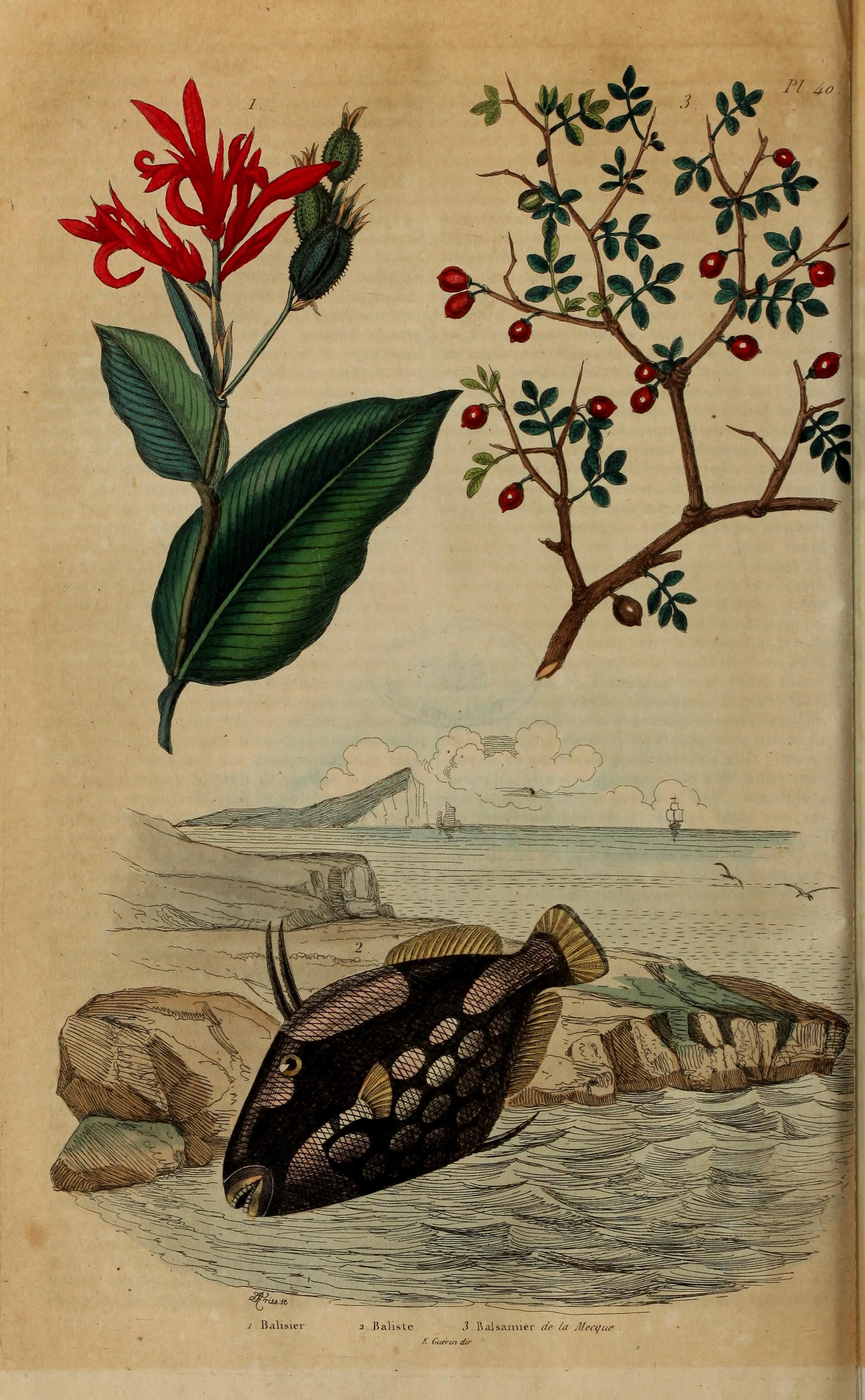 no full size  illustration available (3a)