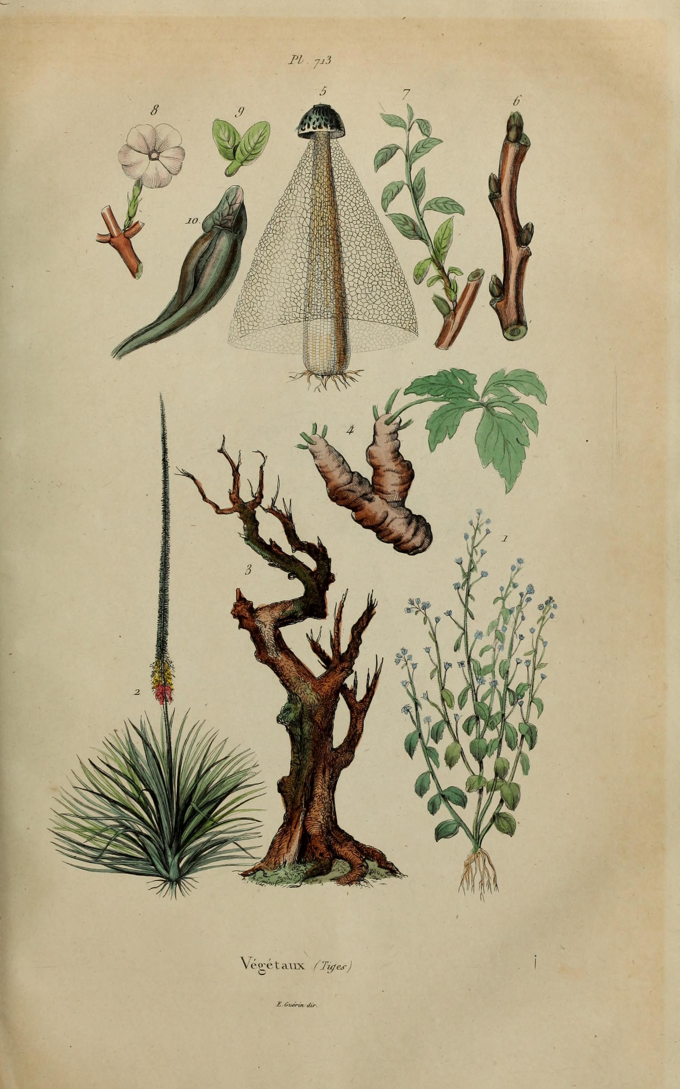 no full size  illustration available (3a)