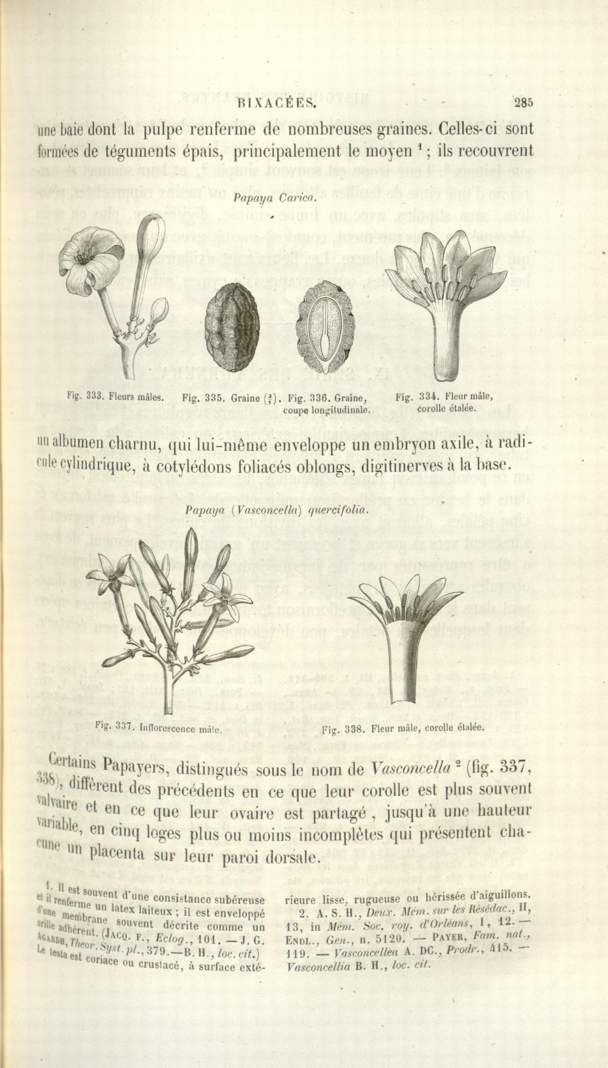 no full size  illustration available (3a)