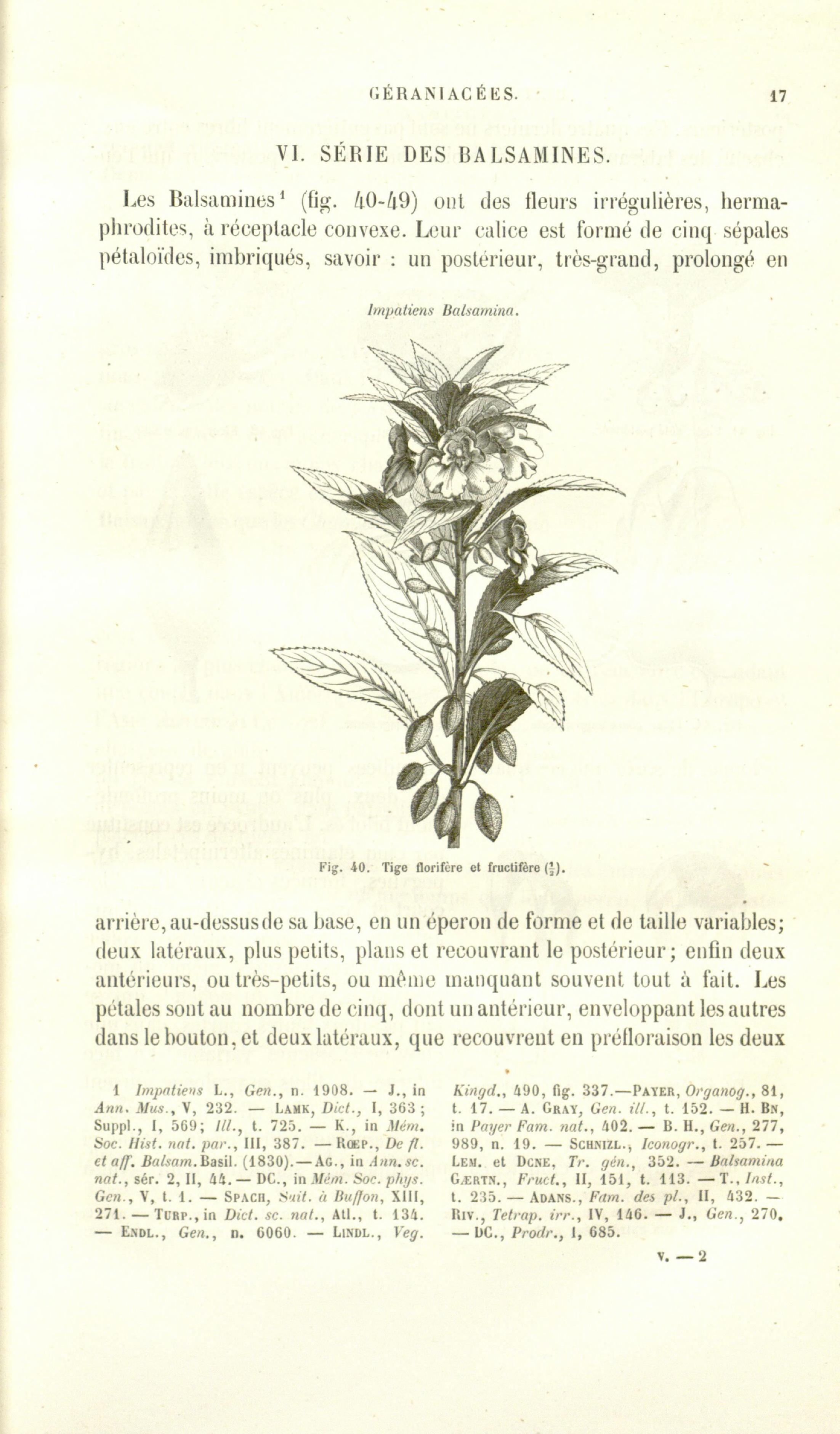 no full size  illustration available (3a)