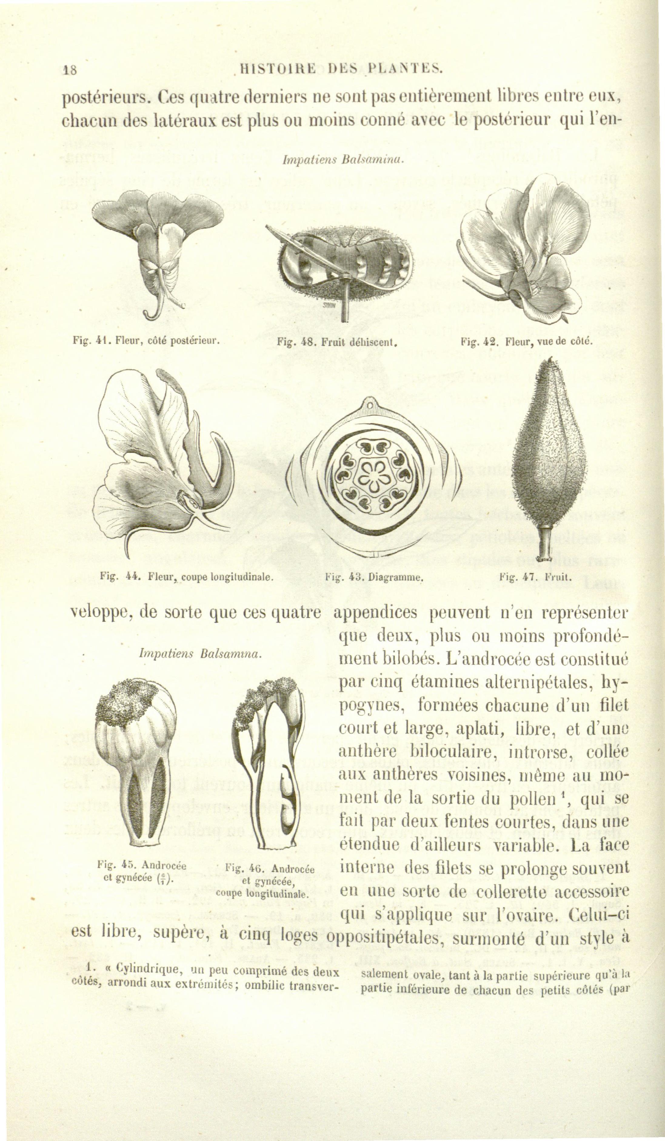 no full size  illustration available (3a)