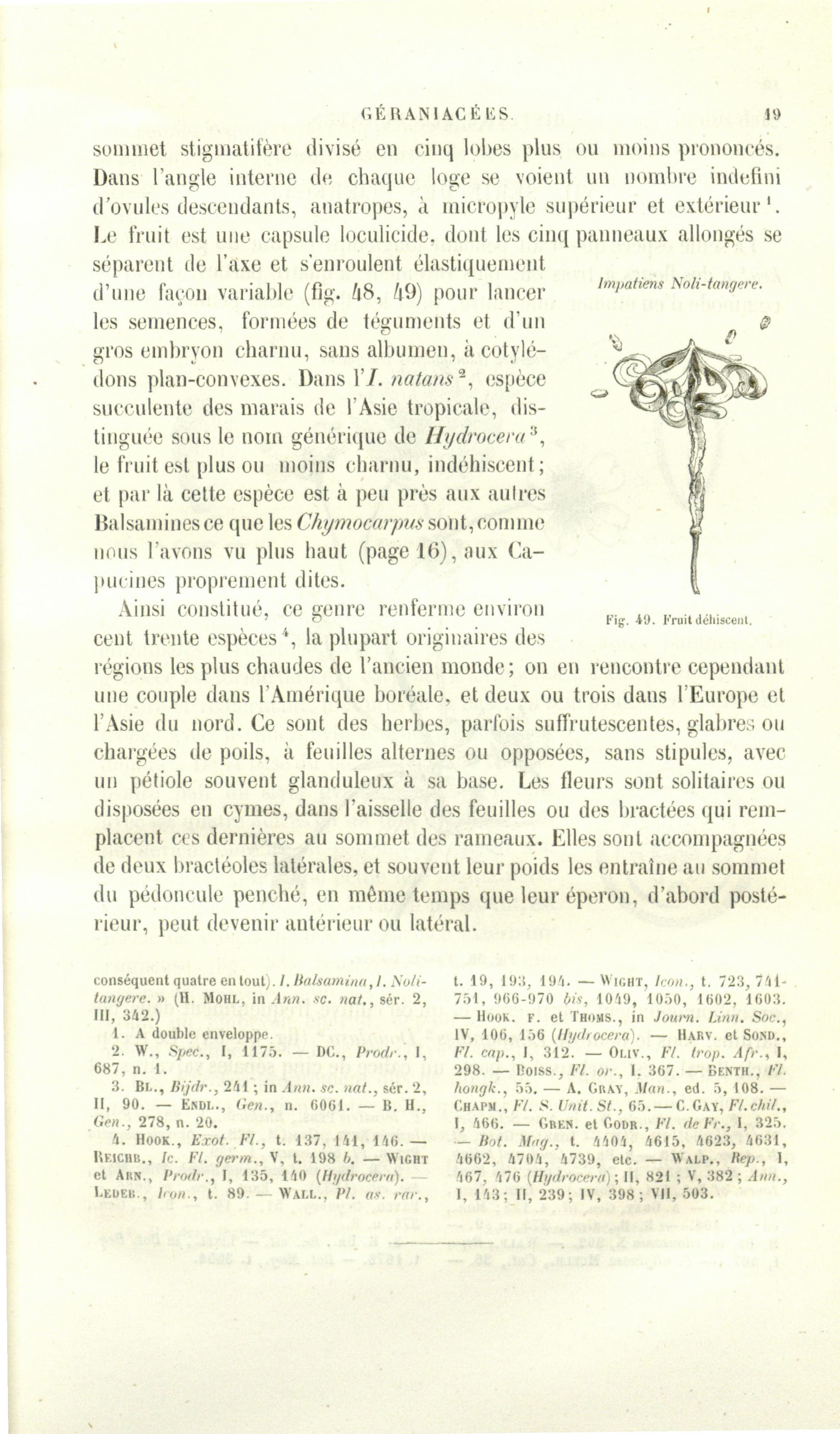 no full size  illustration available (3a)