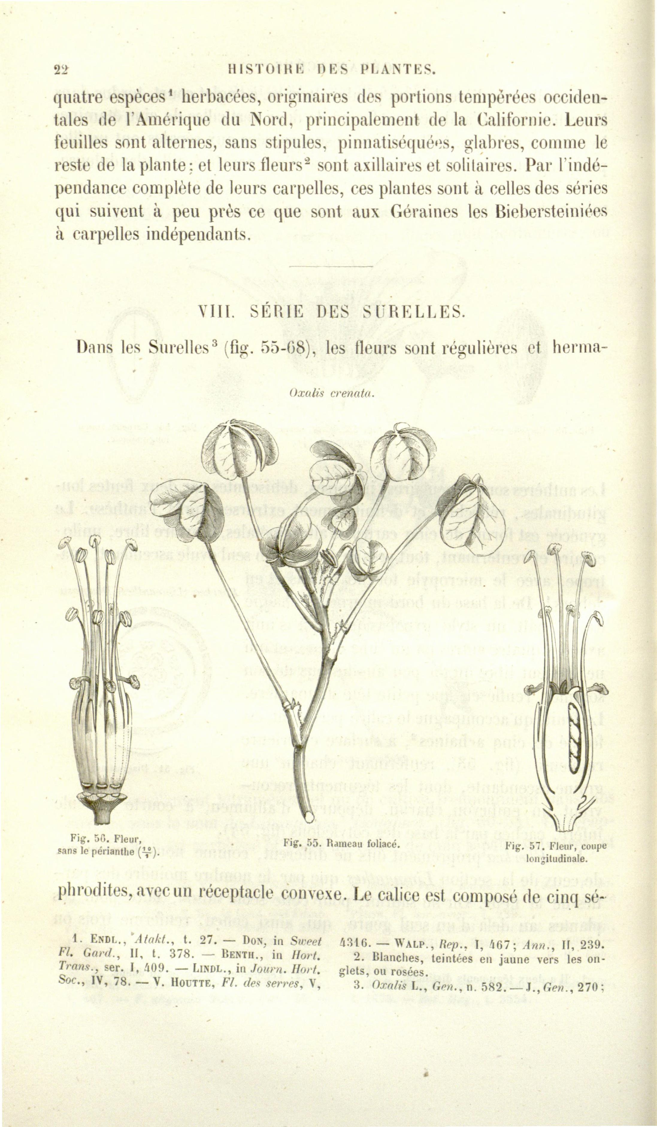 no full size  illustration available (3a)